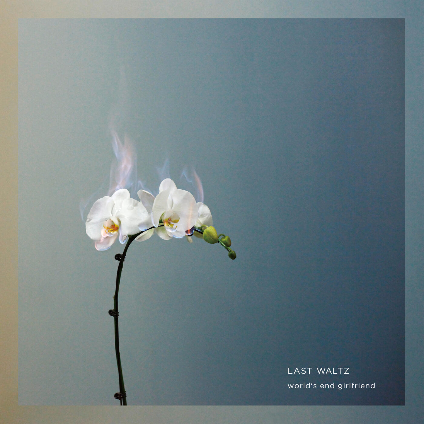 Релиз LAST WALTZ