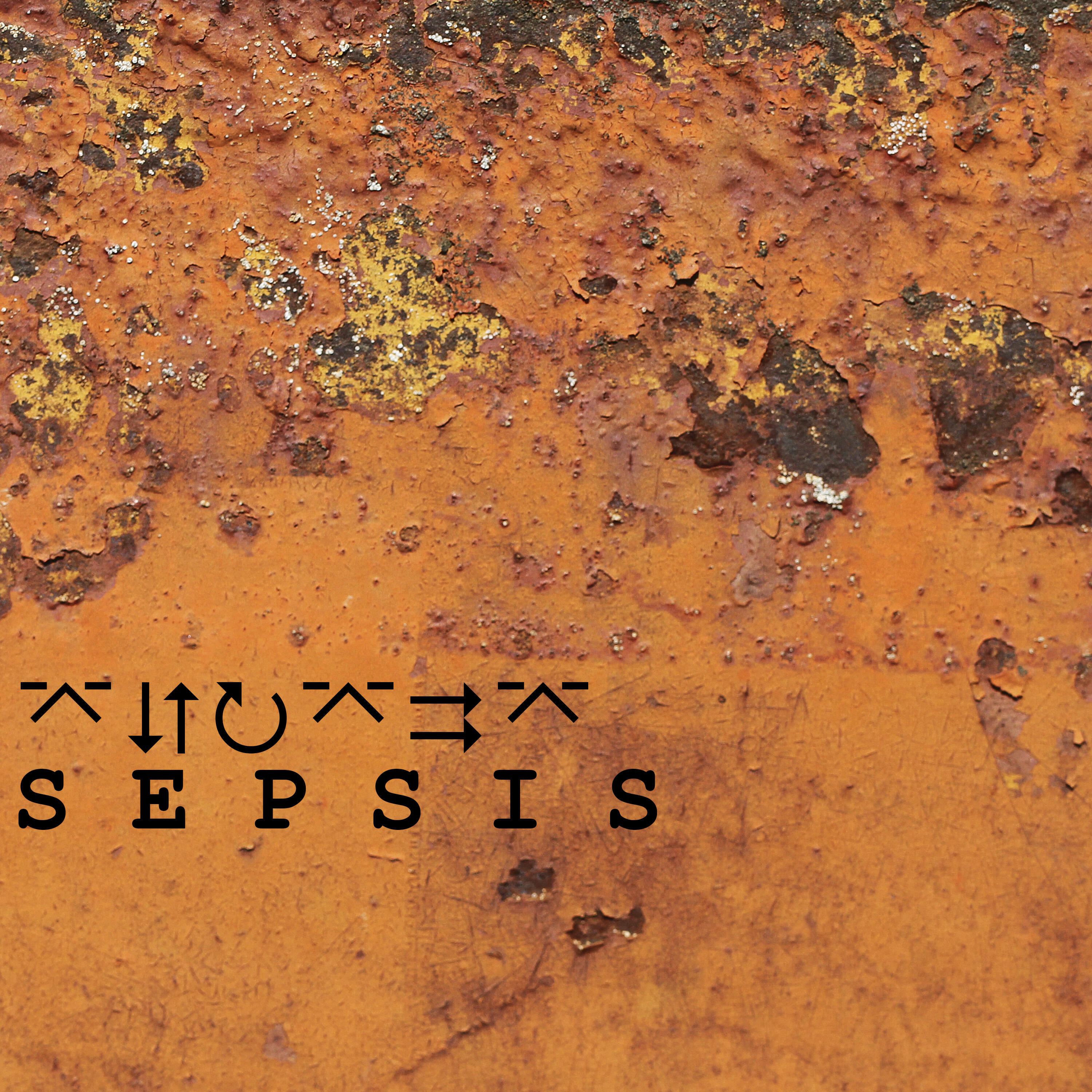 Релиз Sepsis