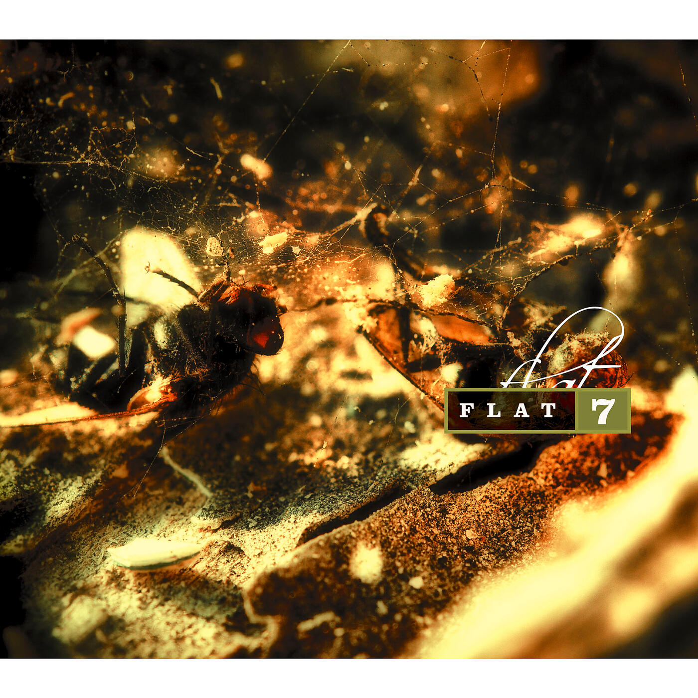 Релиз A SWEET GLOW OF SILENCE