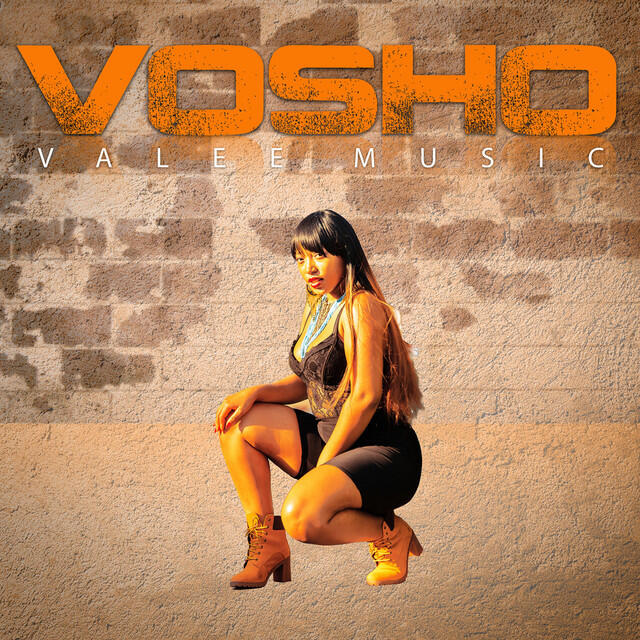 Релиз Vosho