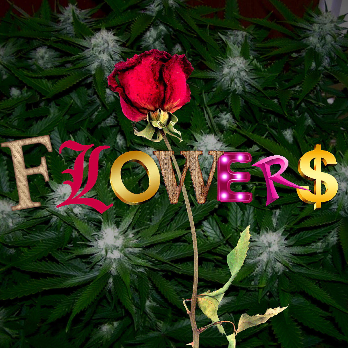 Трек Flower$