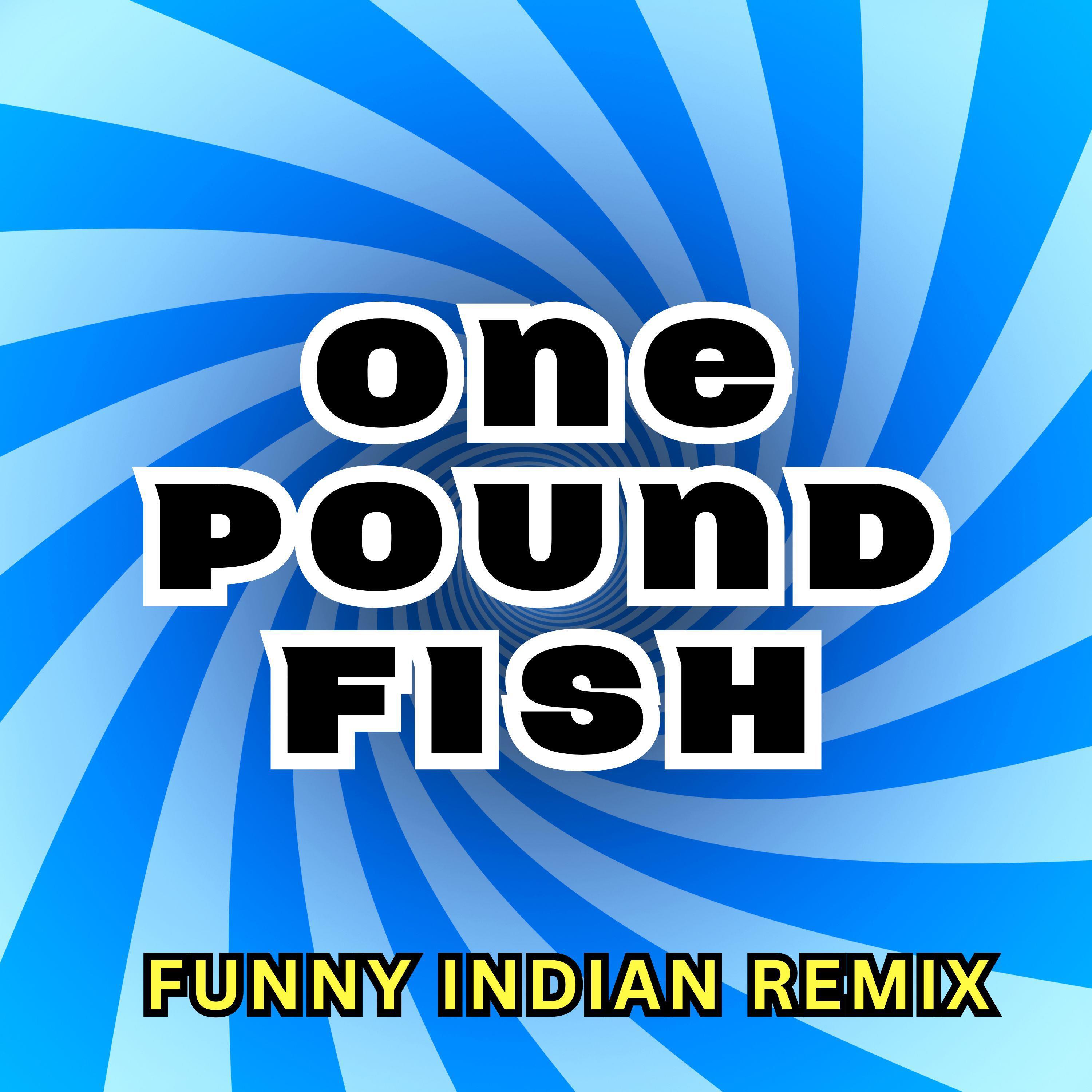 Релиз One Pound Fish (Funny Indian Remix)