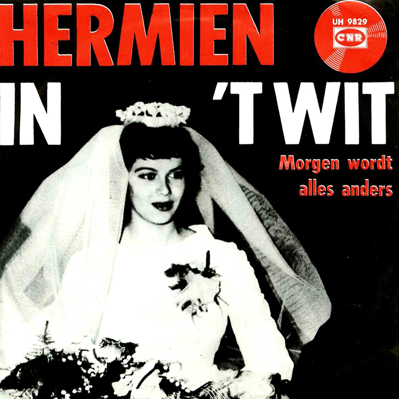 Релиз In 't Wit