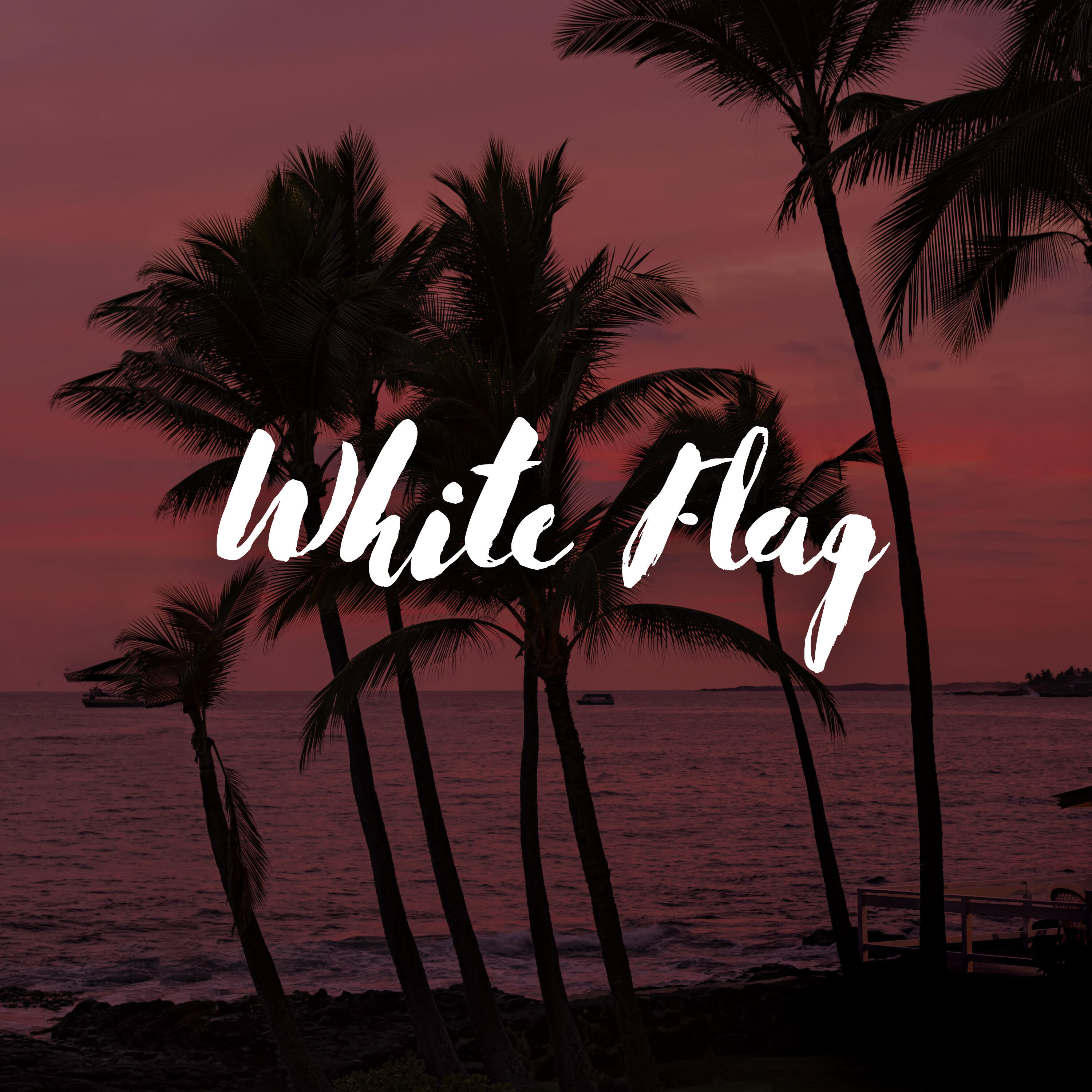 Релиз White Flag