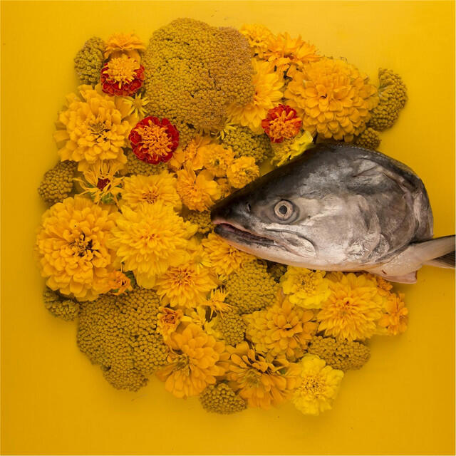 Релиз Fish Eyes EP
