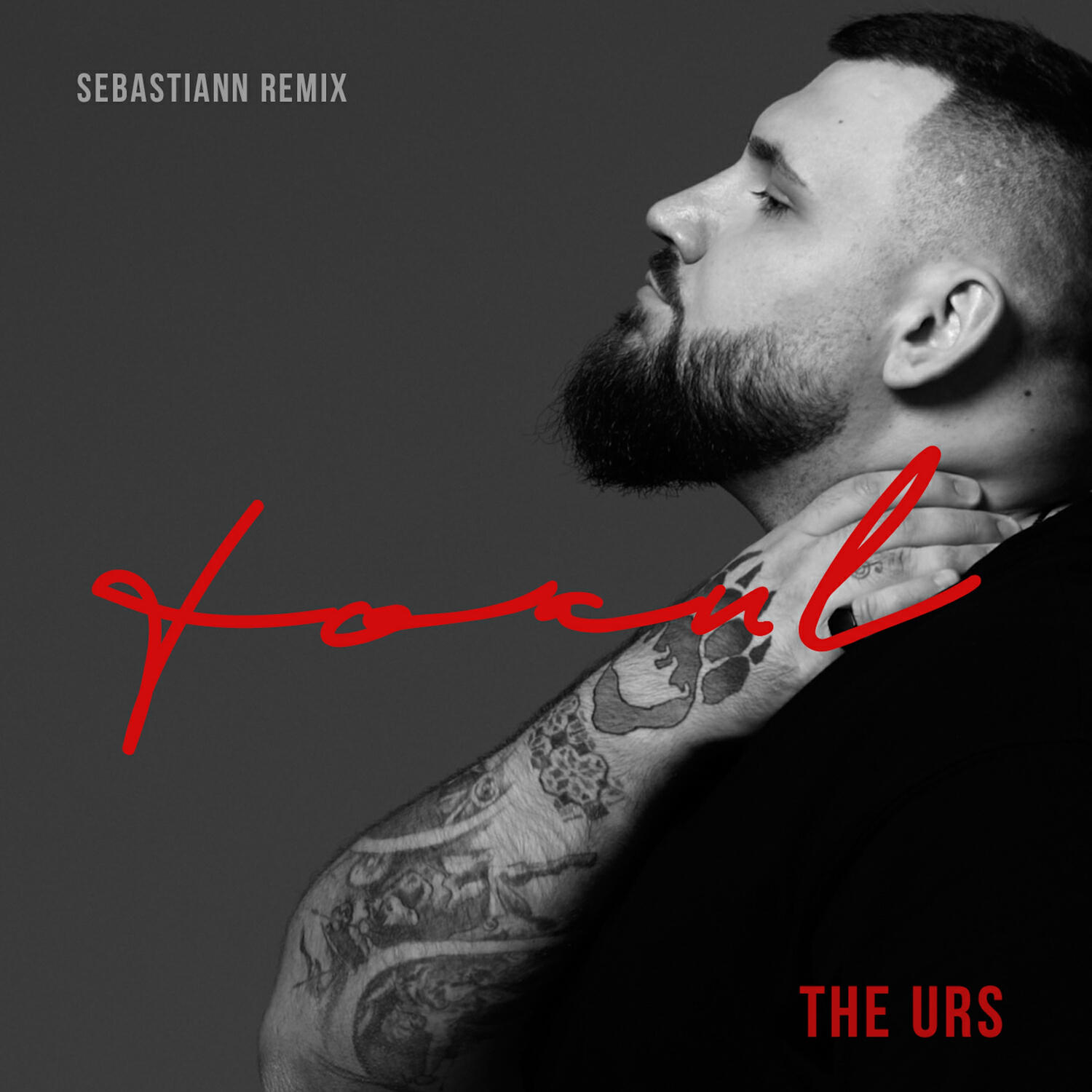 Релиз Focul (Sebastiann Remix)
