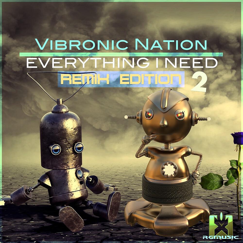 Релиз Everything I Need (Remix Edition 2)