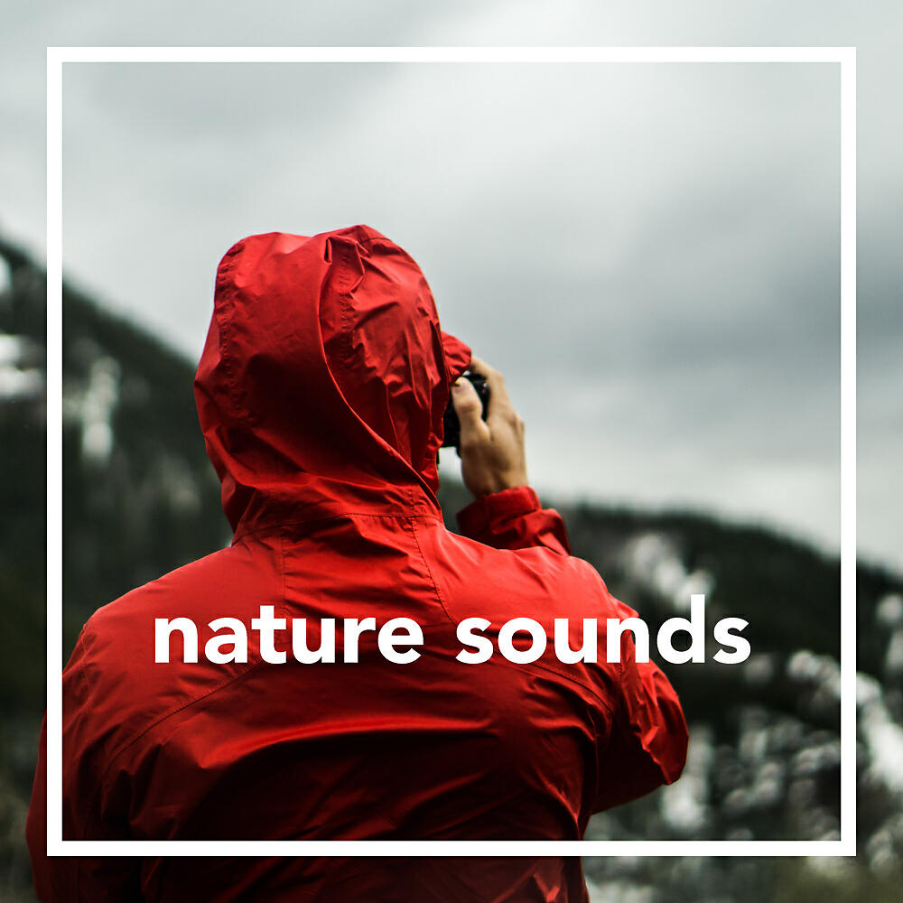 Релиз Nature Sounds