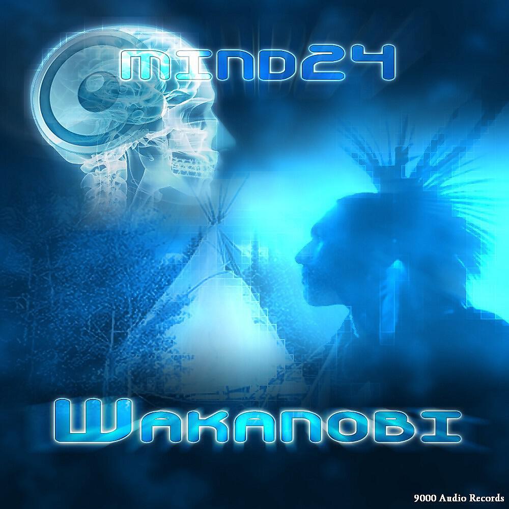 Релиз Wakanobi