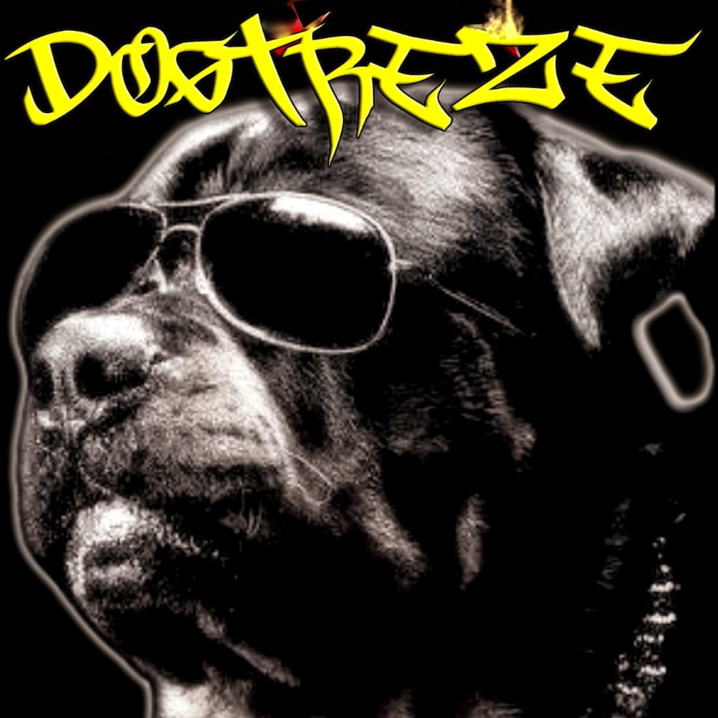 Релиз Estilo Dogtreze