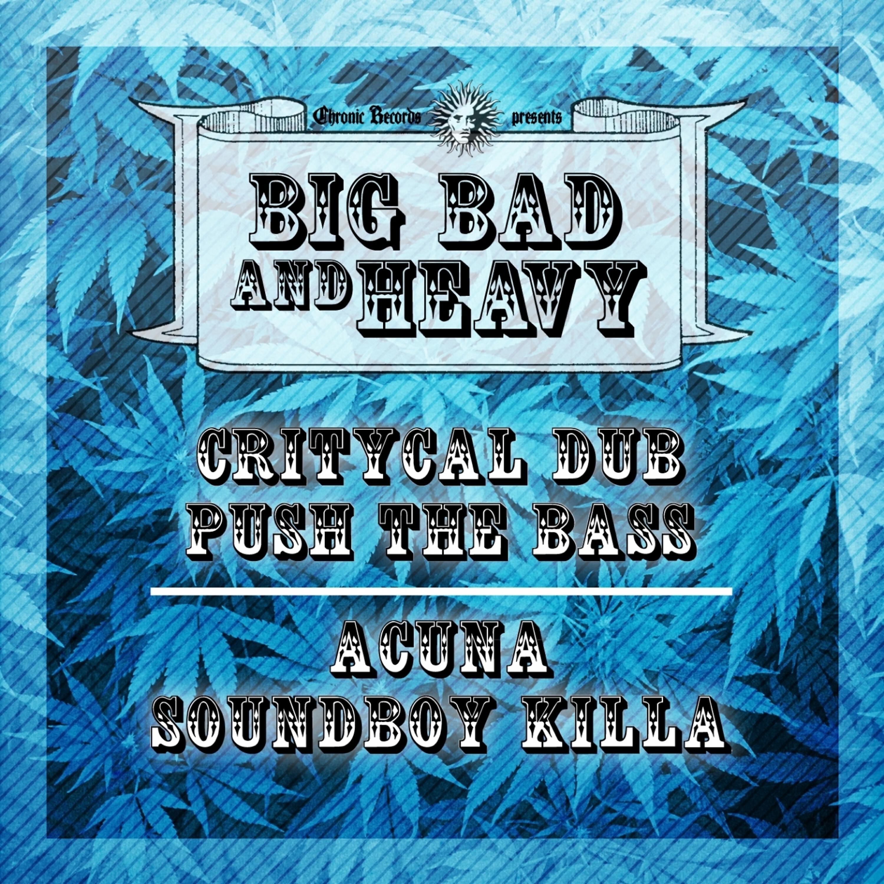 Релиз Push the Bass / Soundboy Killa