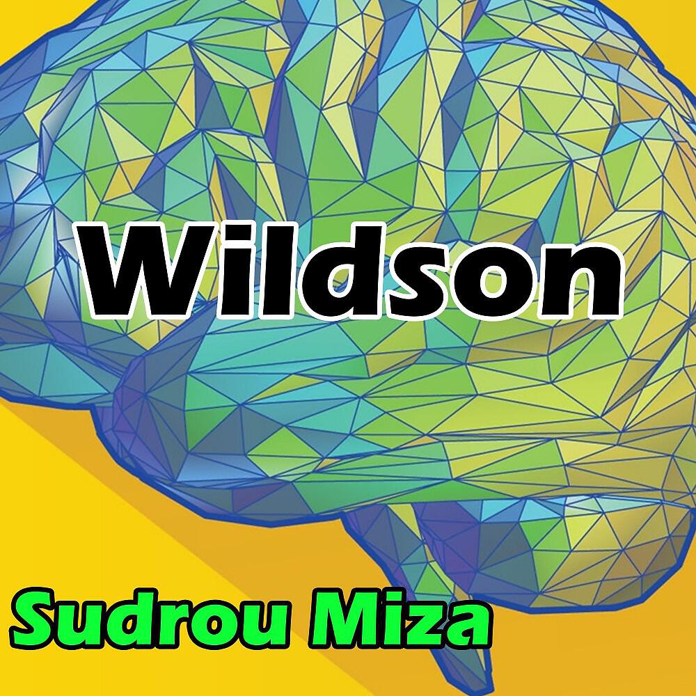 Релиз Wildson