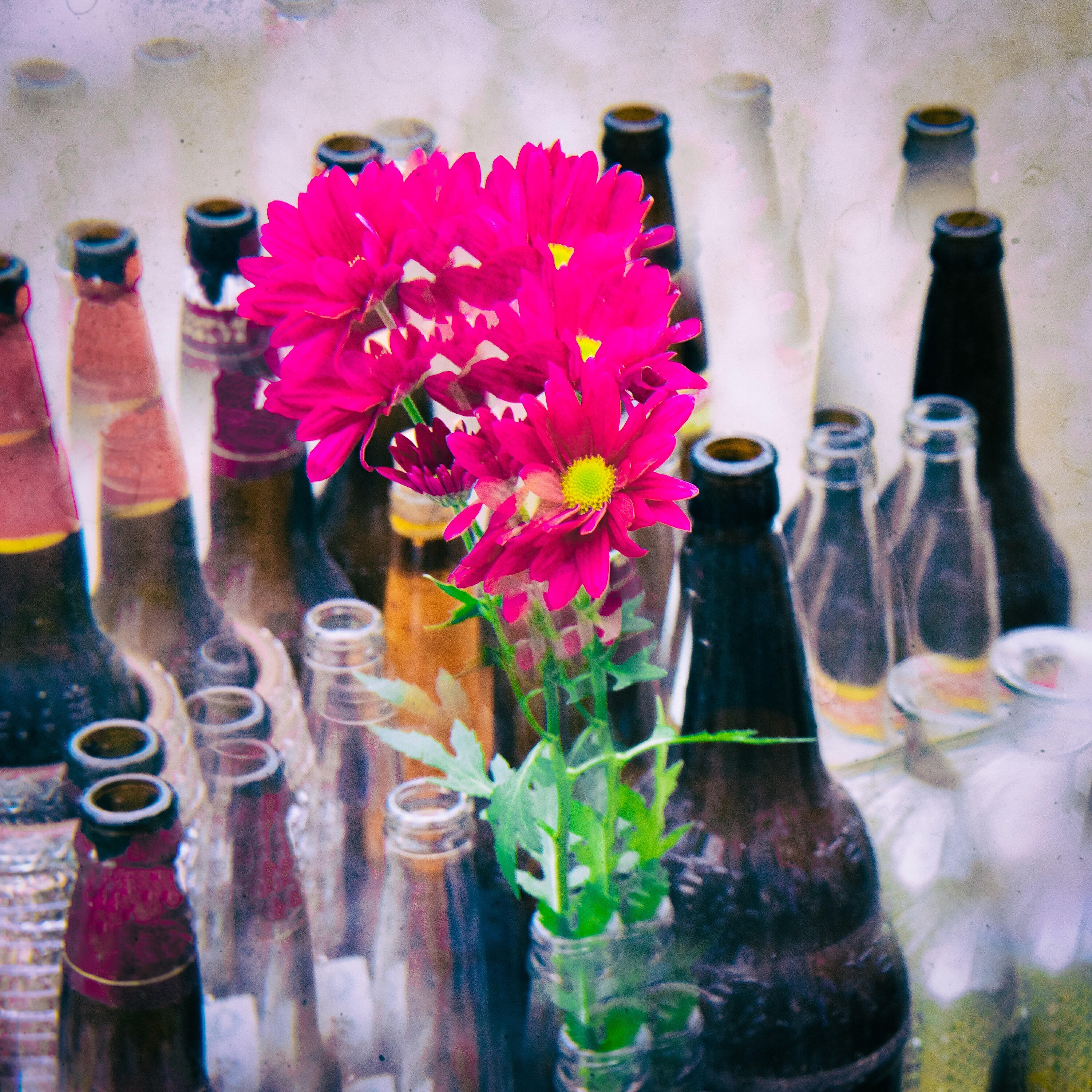 Релиз Mutirão da Laje