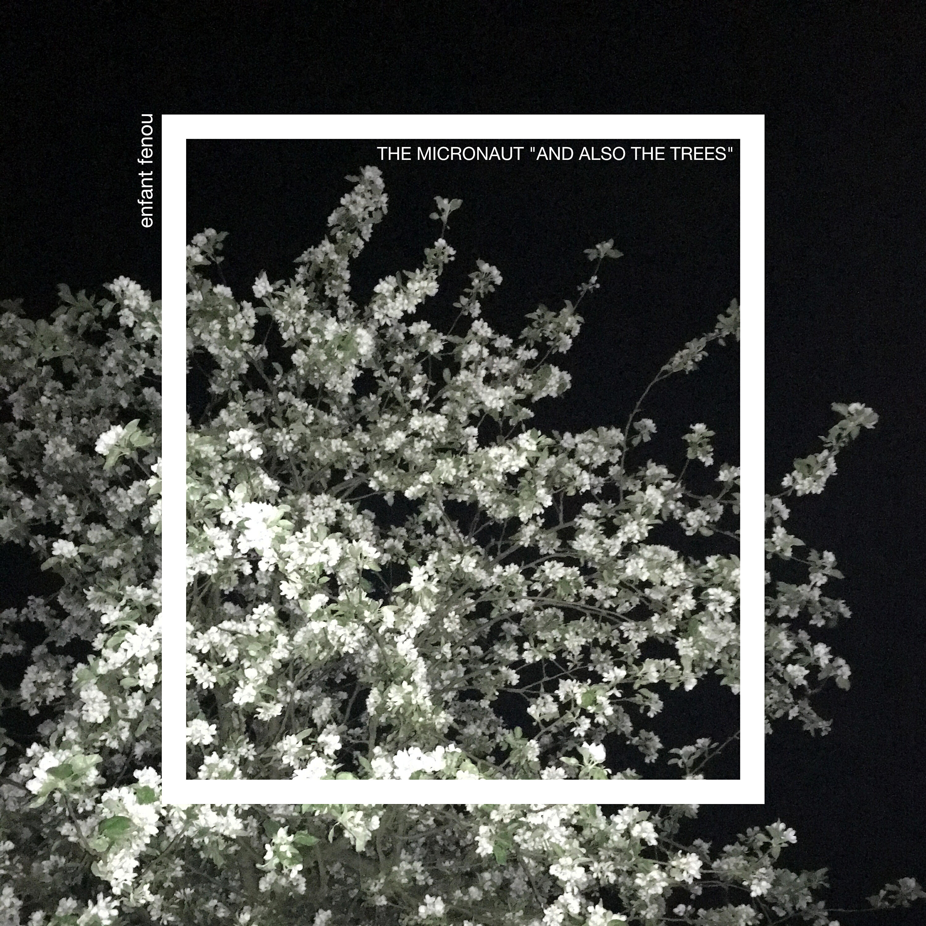 Релиз And Also the Trees