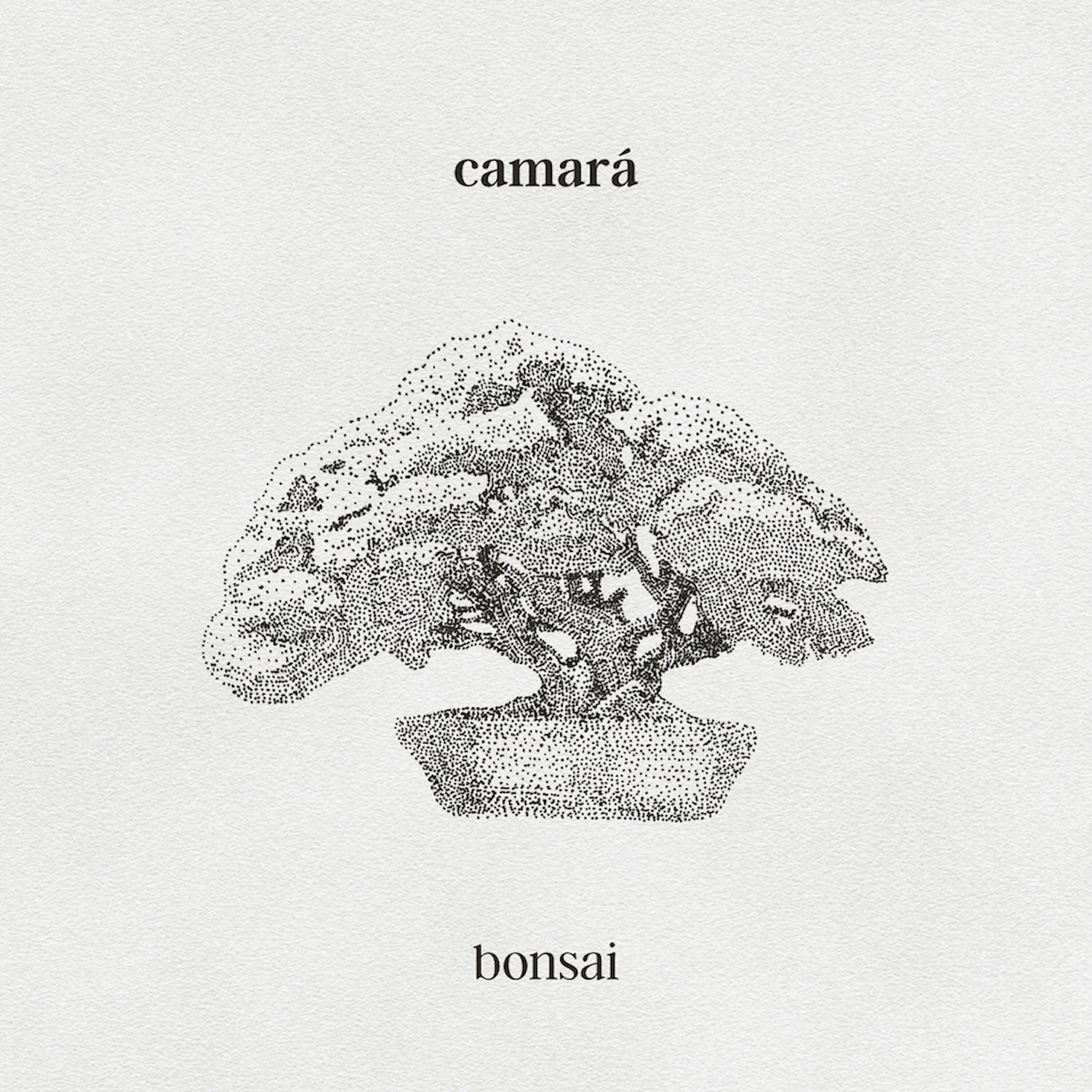 Релиз Bonsai
