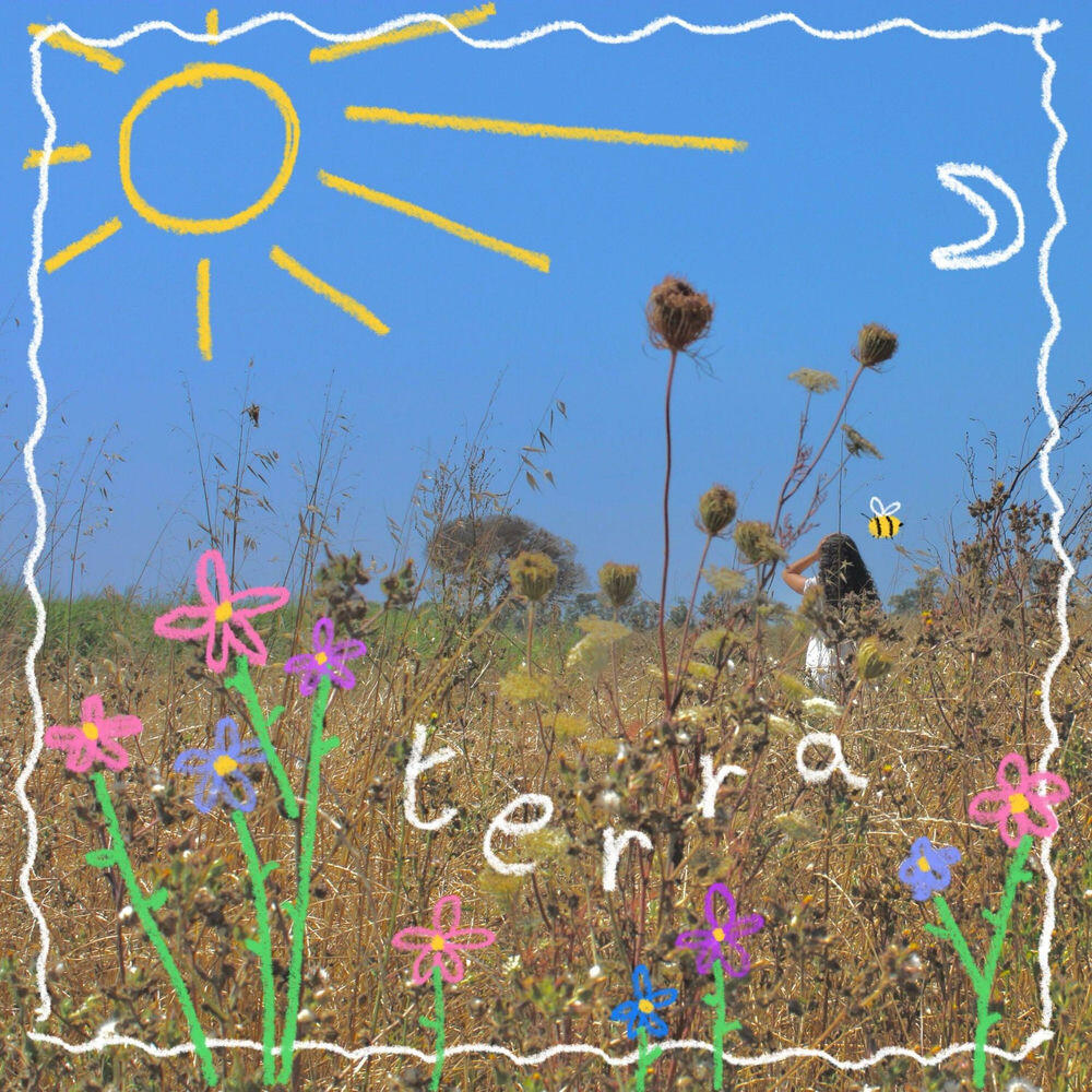 Релиз terra