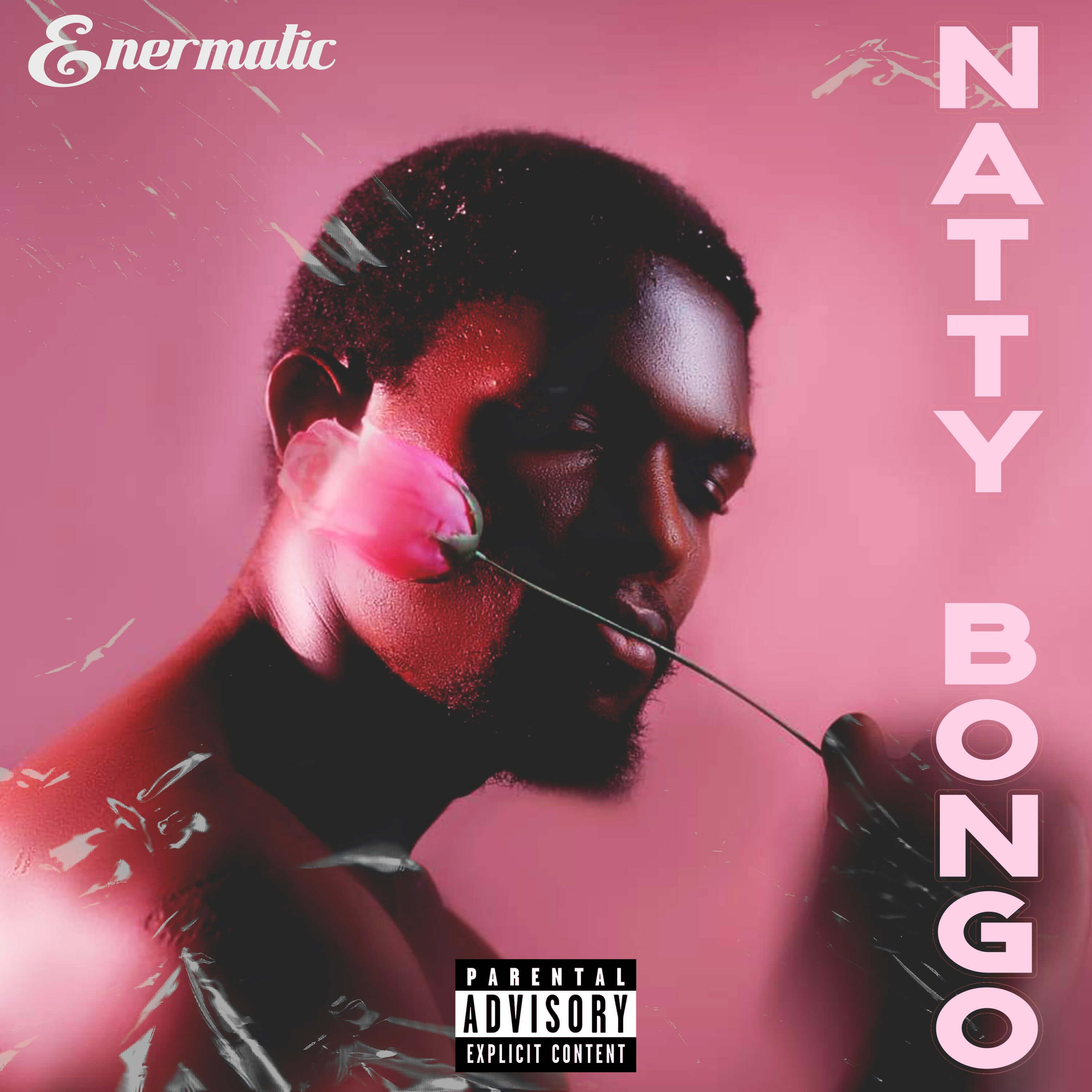 Релиз Natty Bongo
