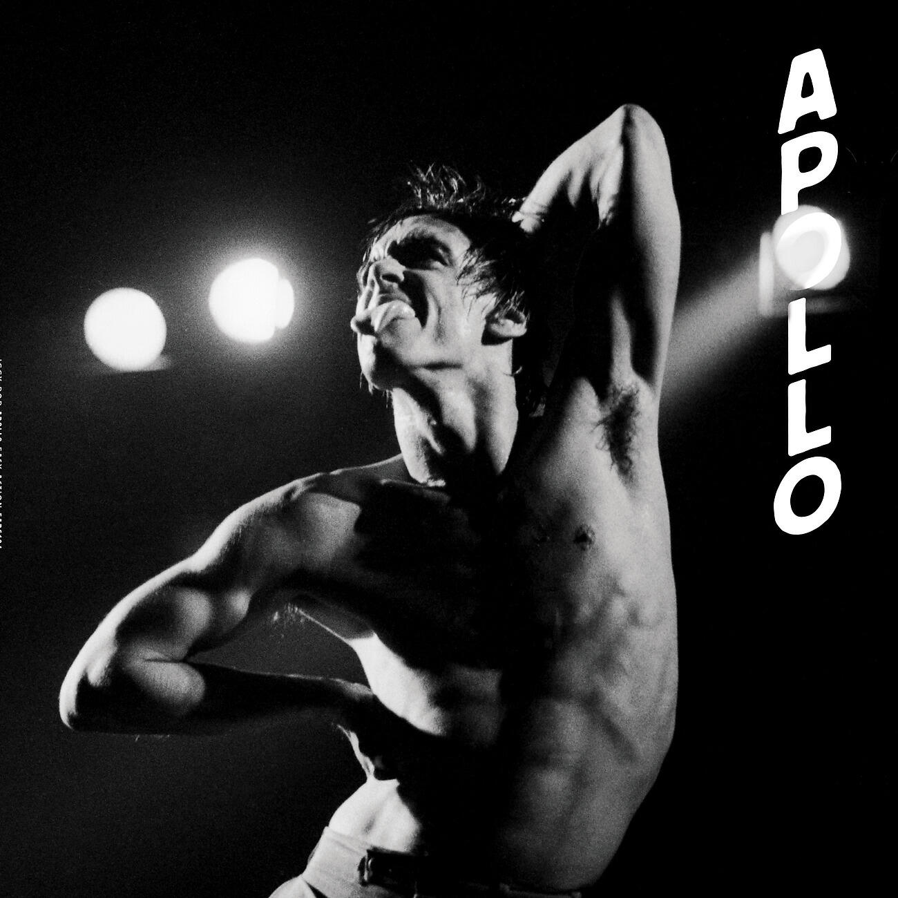 Релиз Apollo