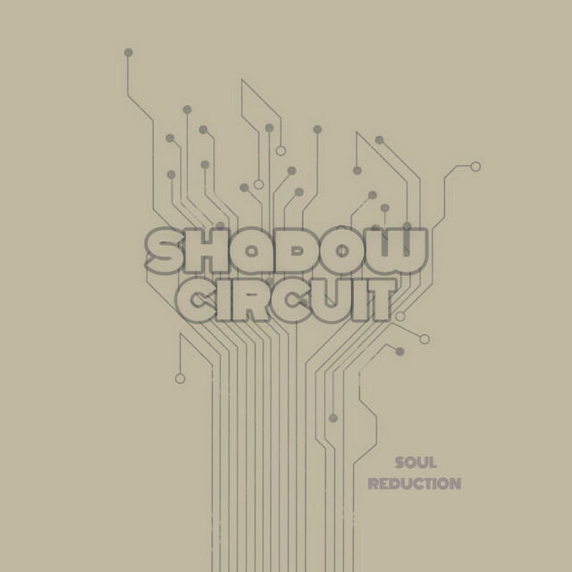 Shadow Circuit