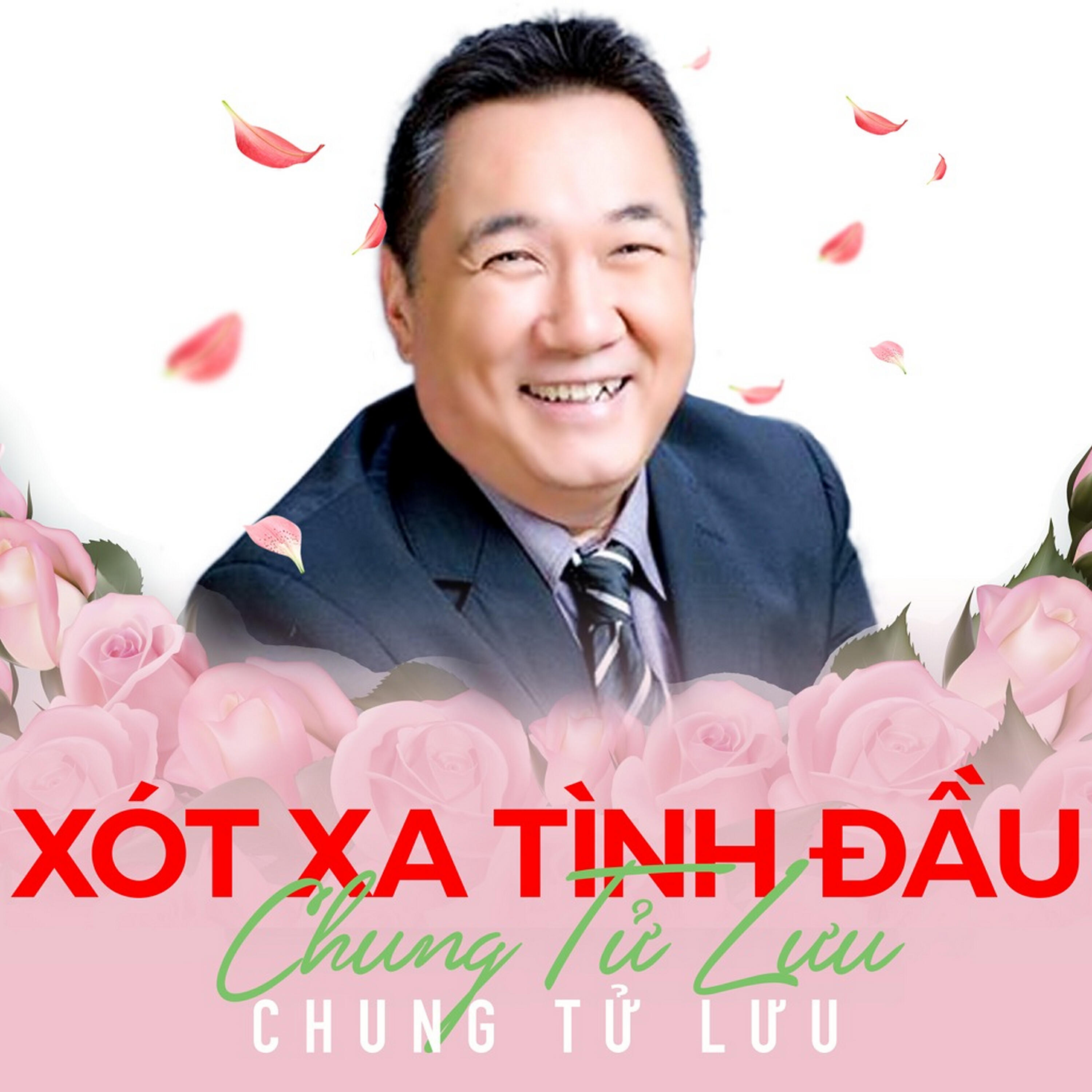 Трек Tình lỡ