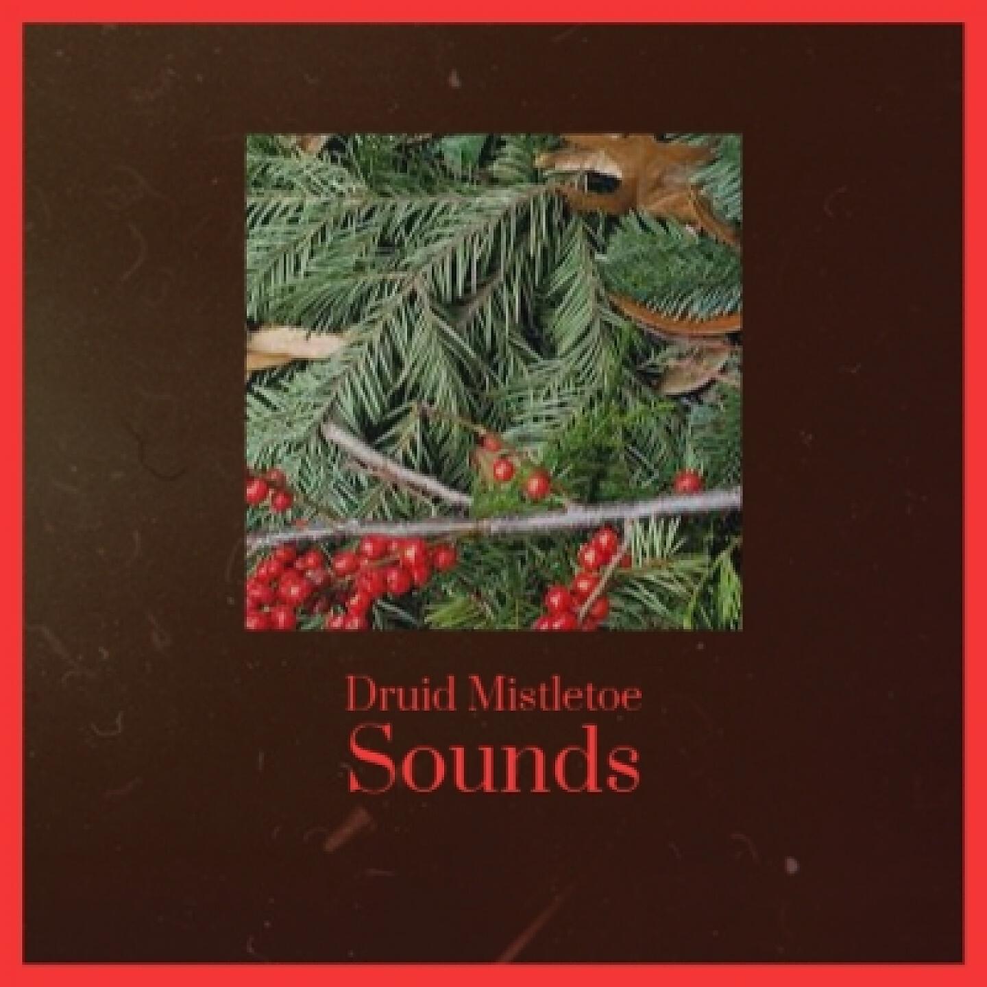 Релиз Druid Mistletoe Sounds