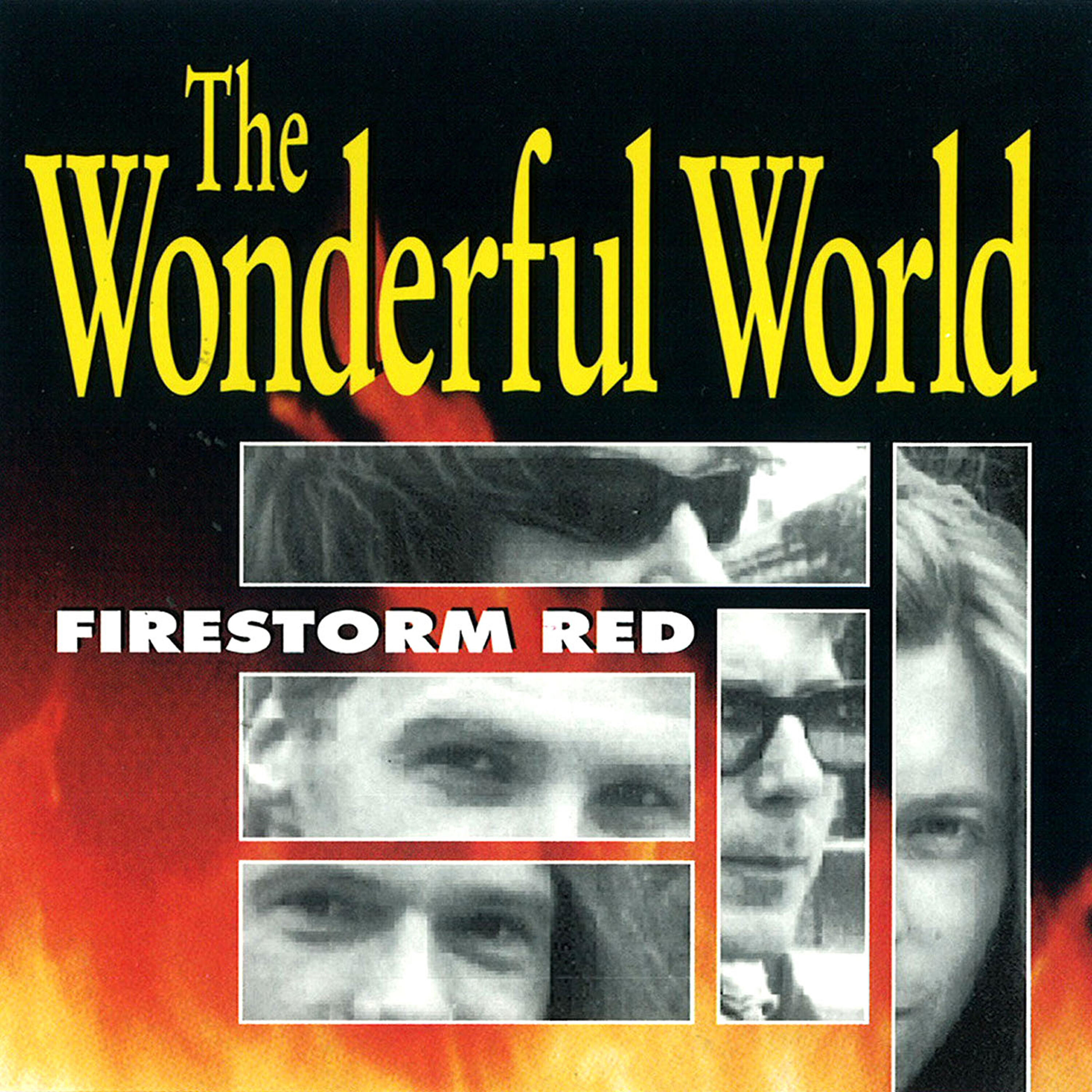 The Wonderful World