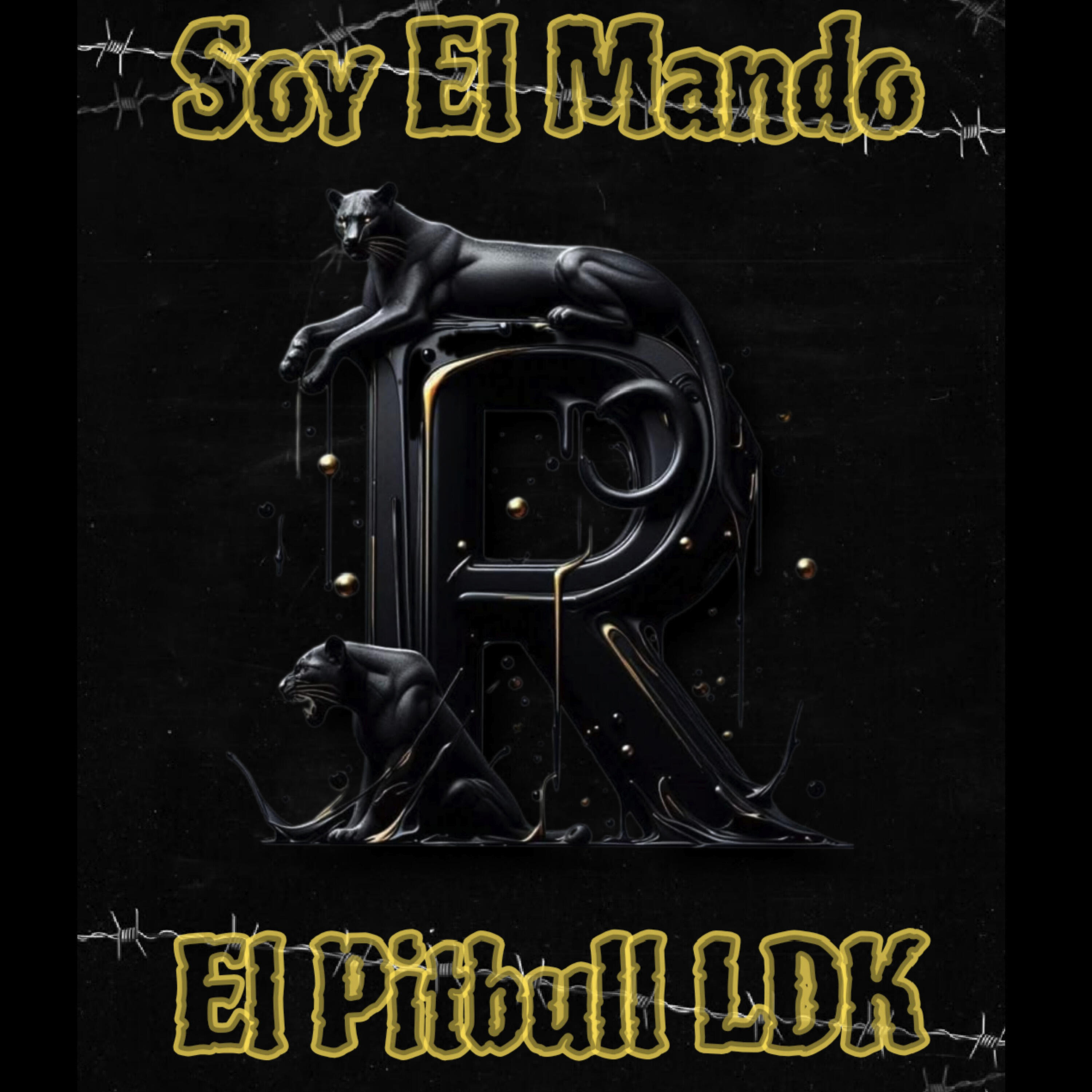 Релиз Soy el Mando R