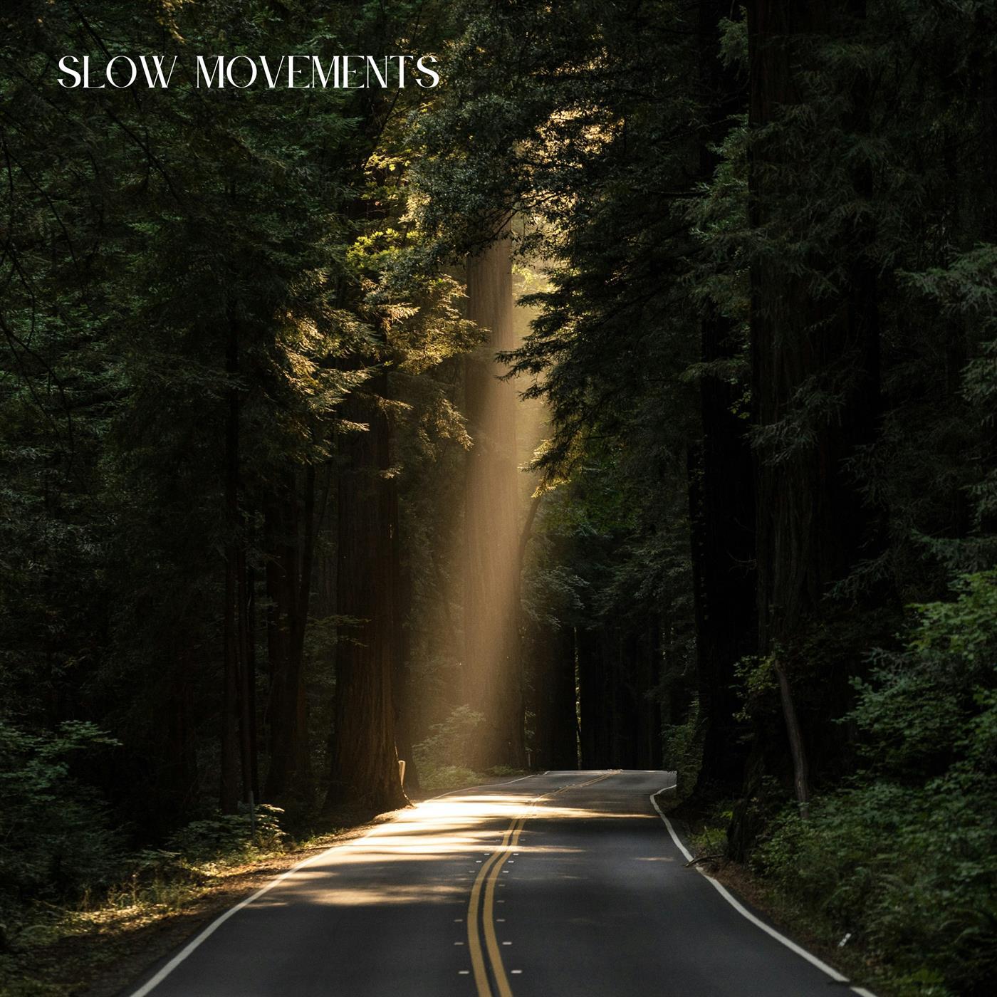 Релиз Slow Movements