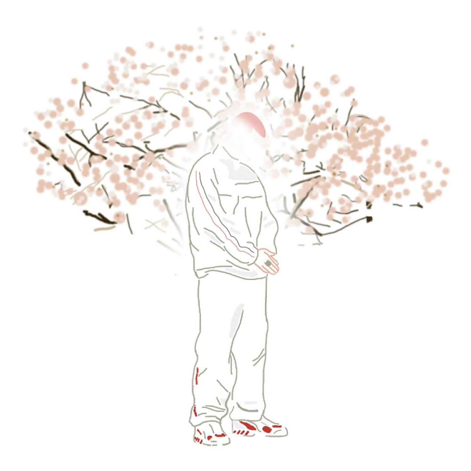 Релиз S L