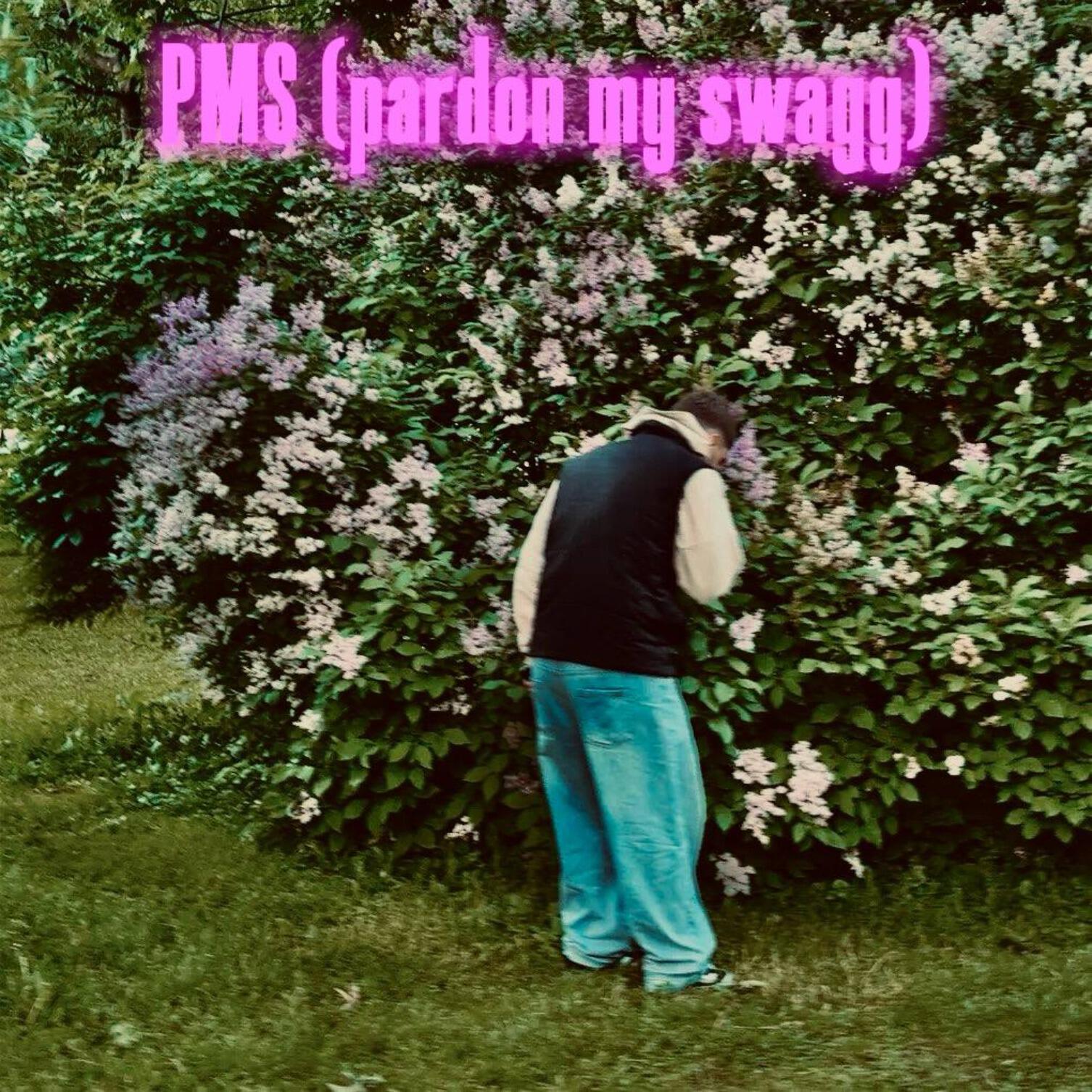 Релиз PMS (pardon my swagg)