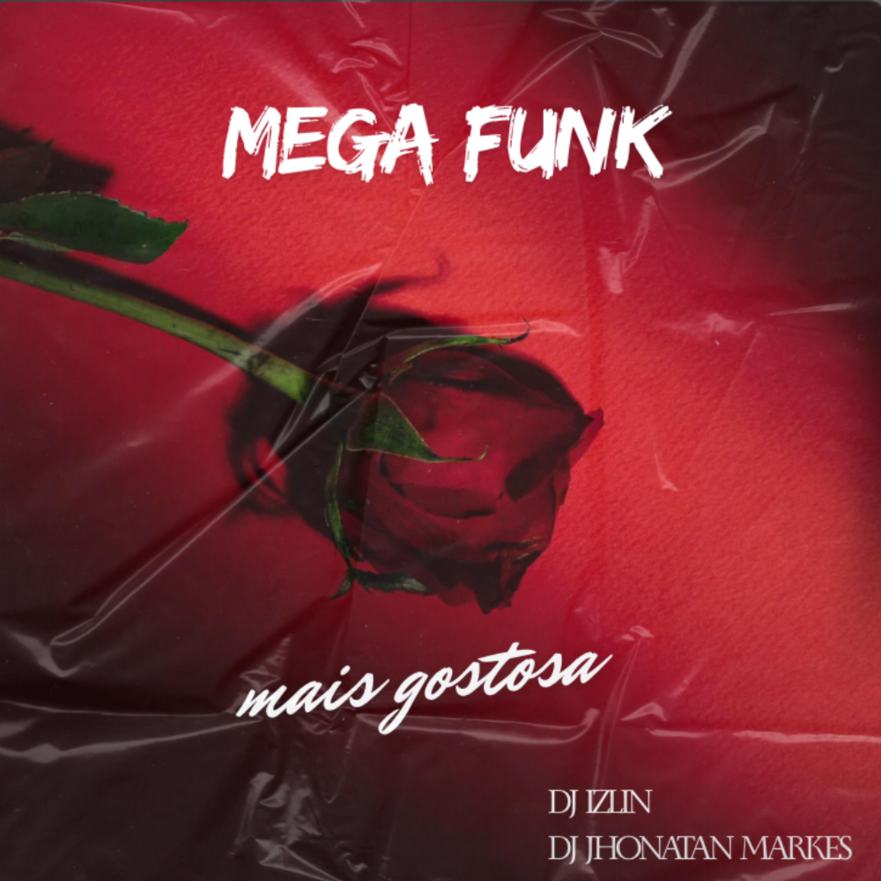 Релиз MEGA FUNK MAIS GOSTOSA