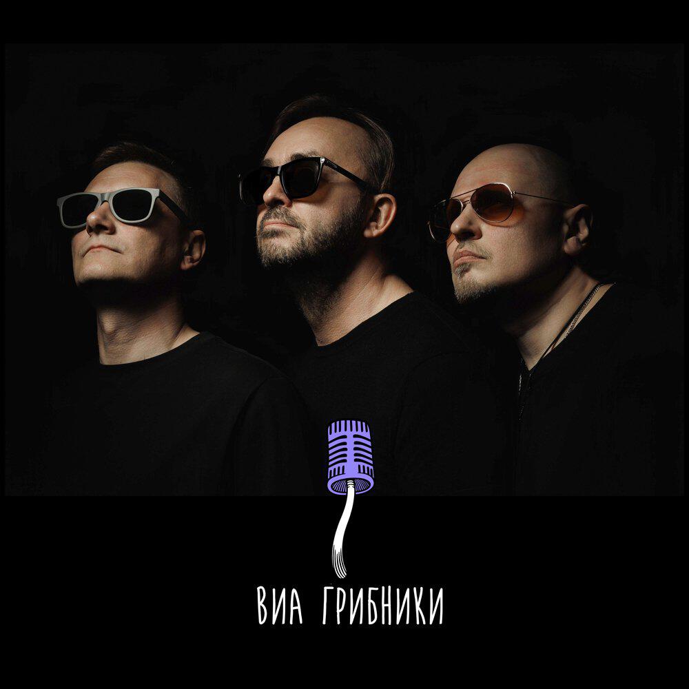Леха Гриб и виа ГРИБНИКИ