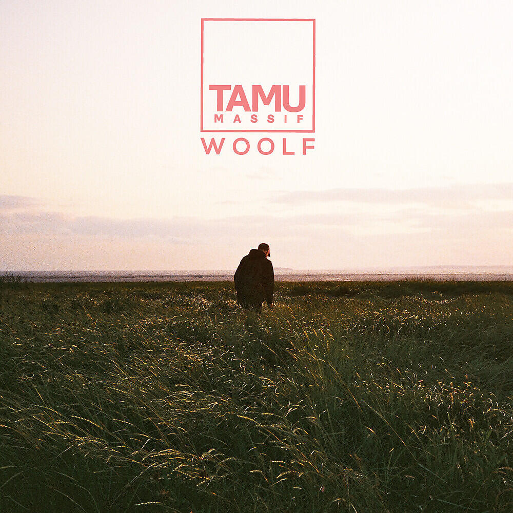 Релиз Woolf