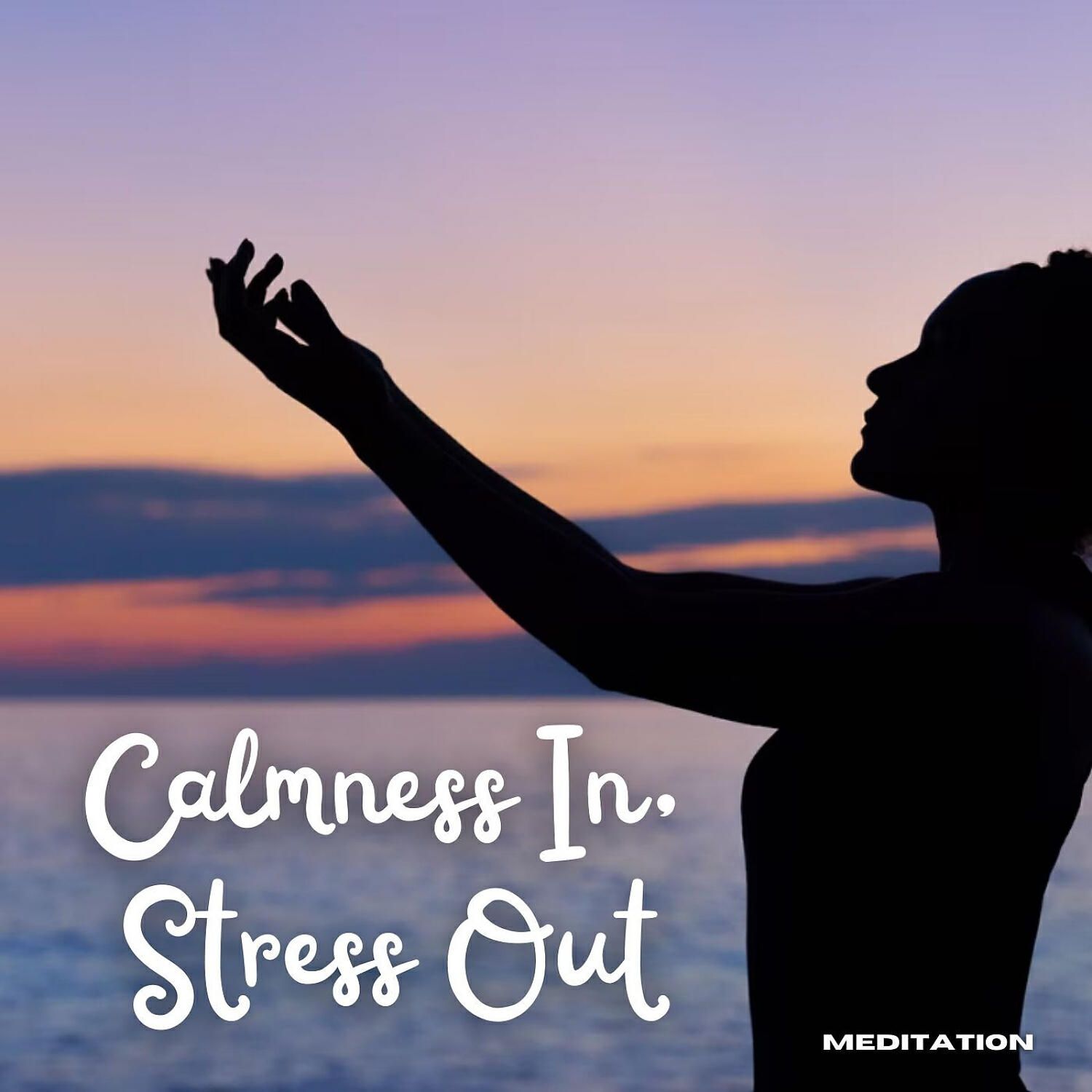 Релиз Meditation: Calmness In, Stress Out