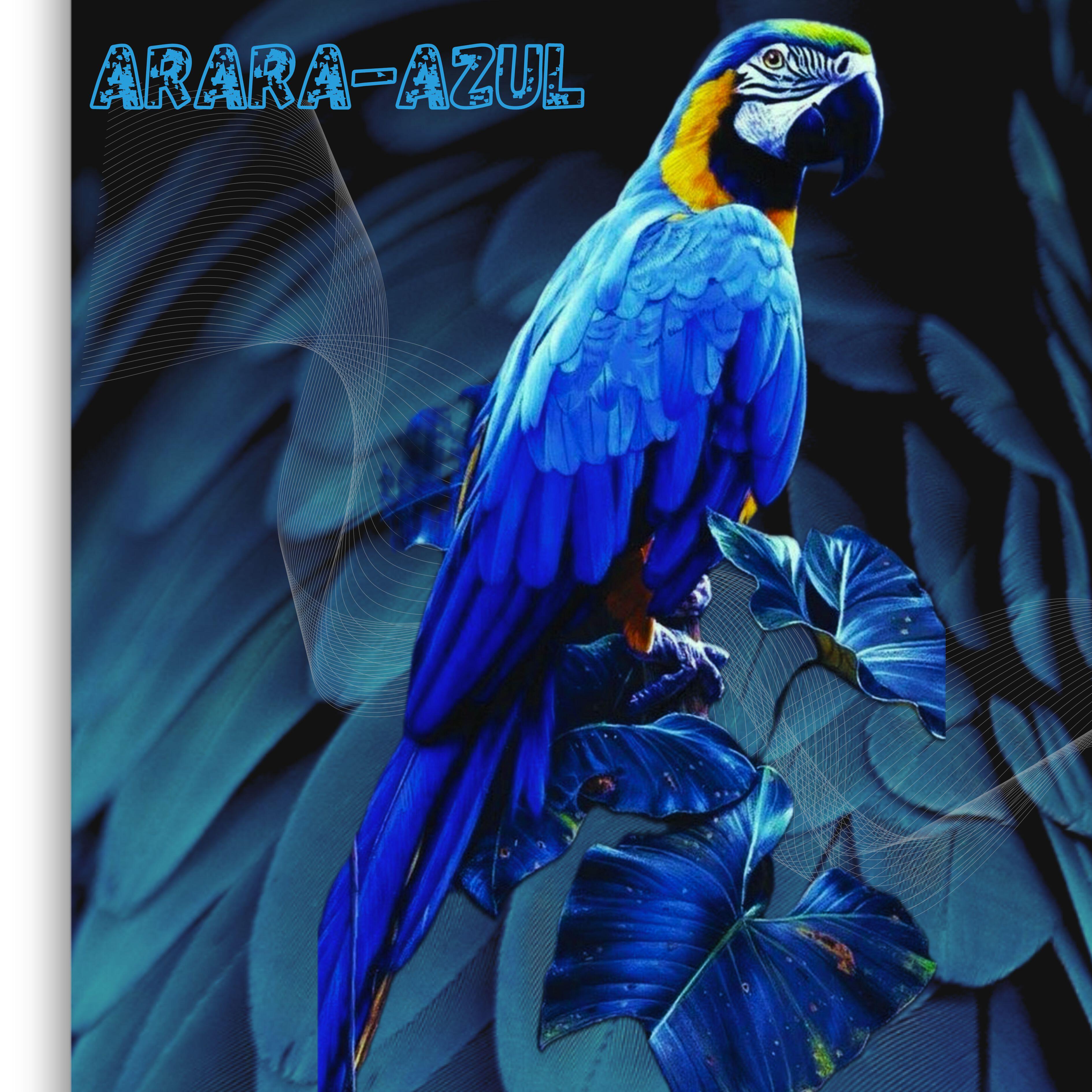 Релиз Arara-Azul