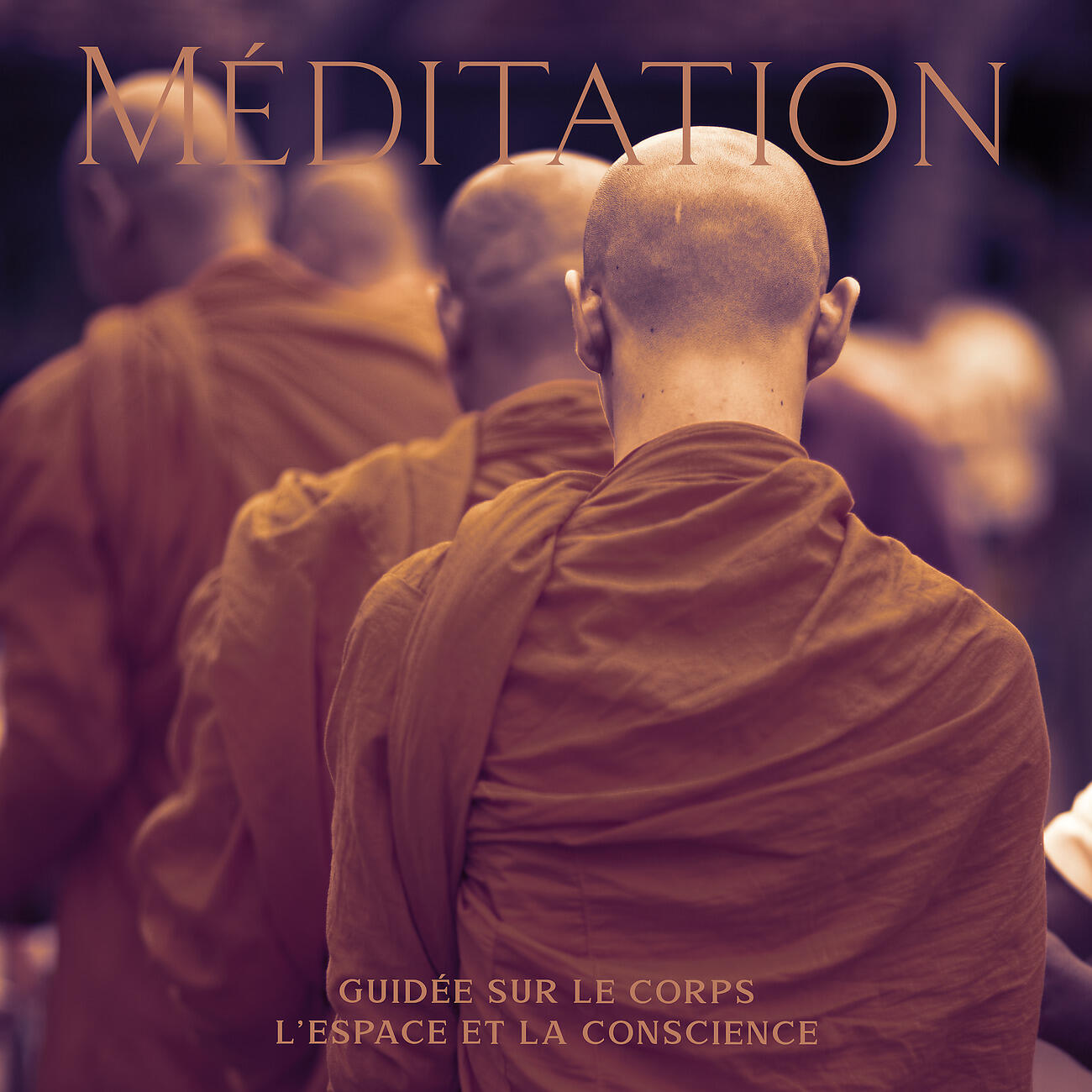 Релиз Méditation guidée sur le corps, L'espace et la conscience