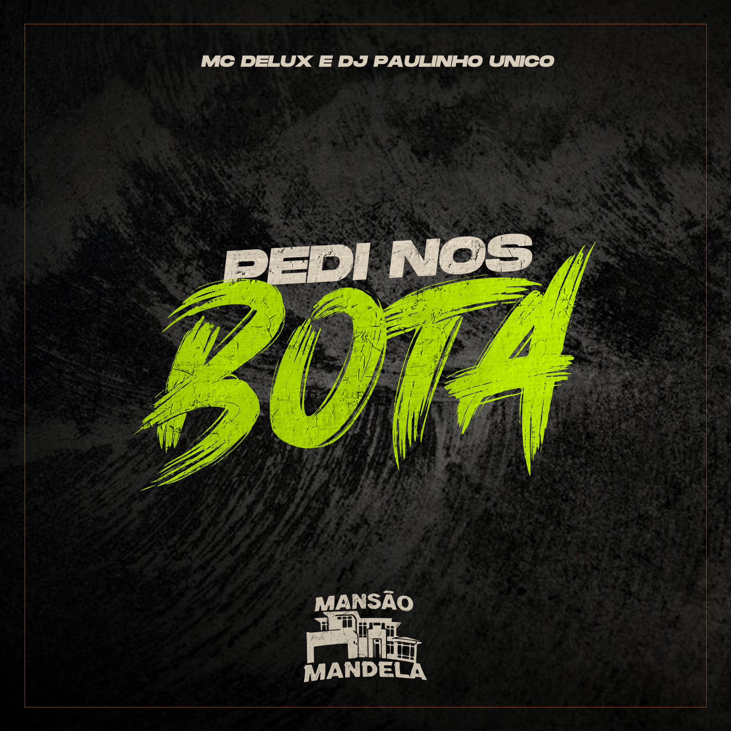 Скачать песню Mc Delux, Dj Paulinho Unico - Pedi nos Bota бесплатно в MP3 для Android и iOS