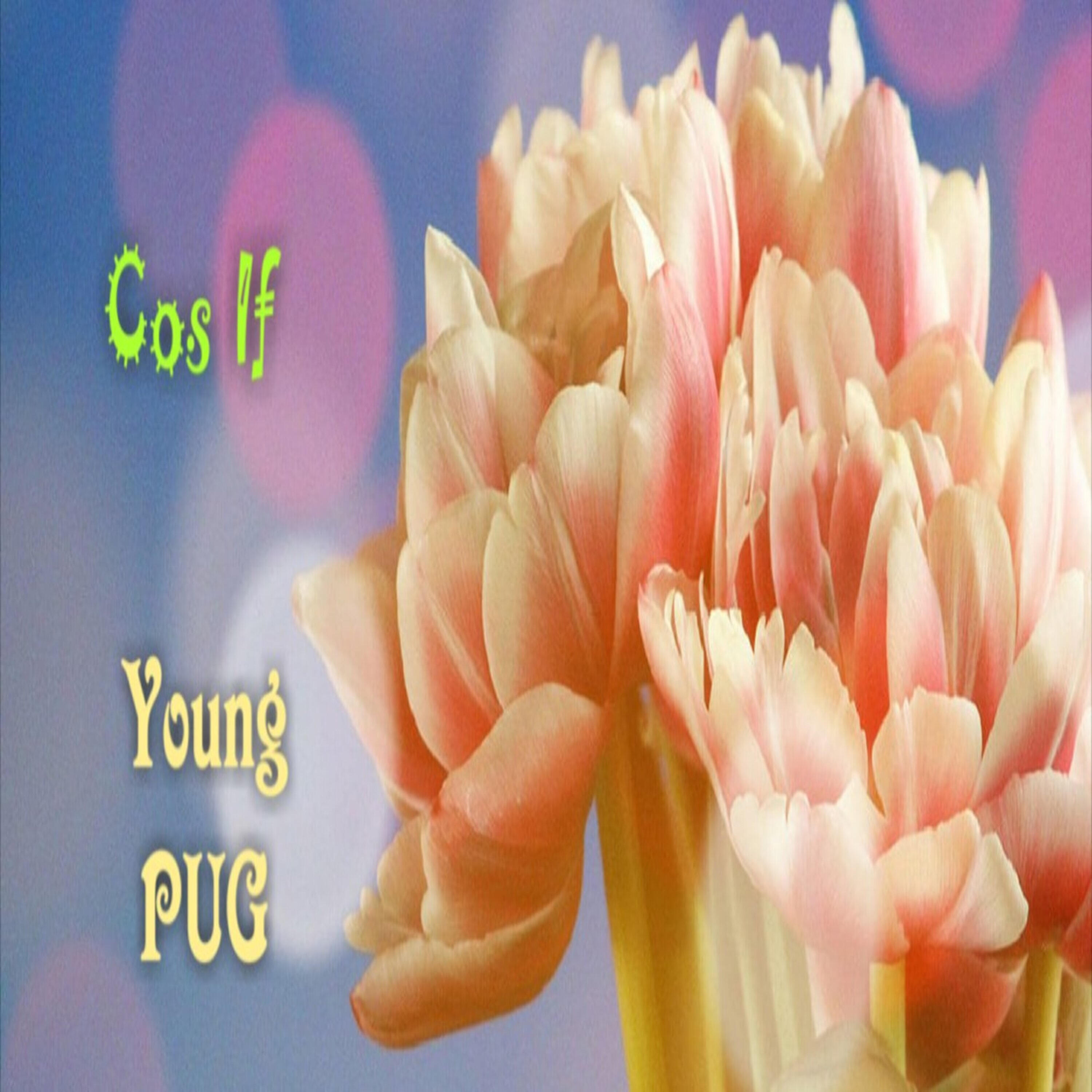 Релиз Cos if