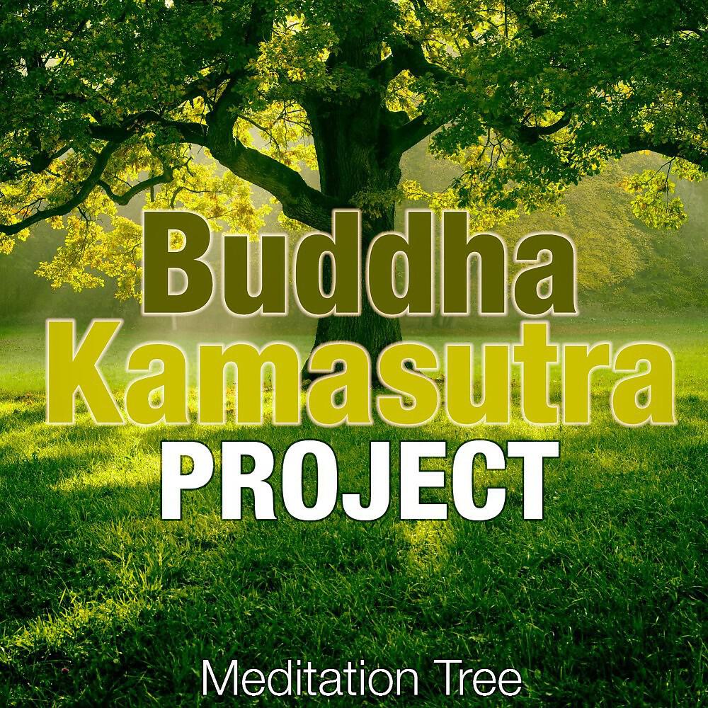 Релиз Meditation Tree