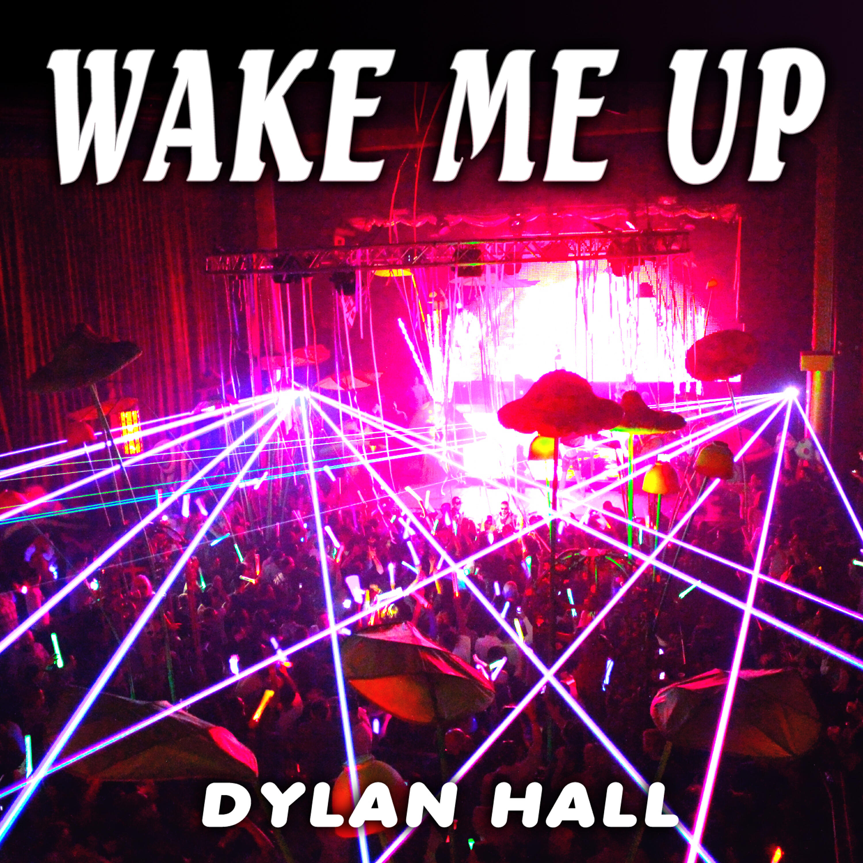 Релиз Wake Me Up