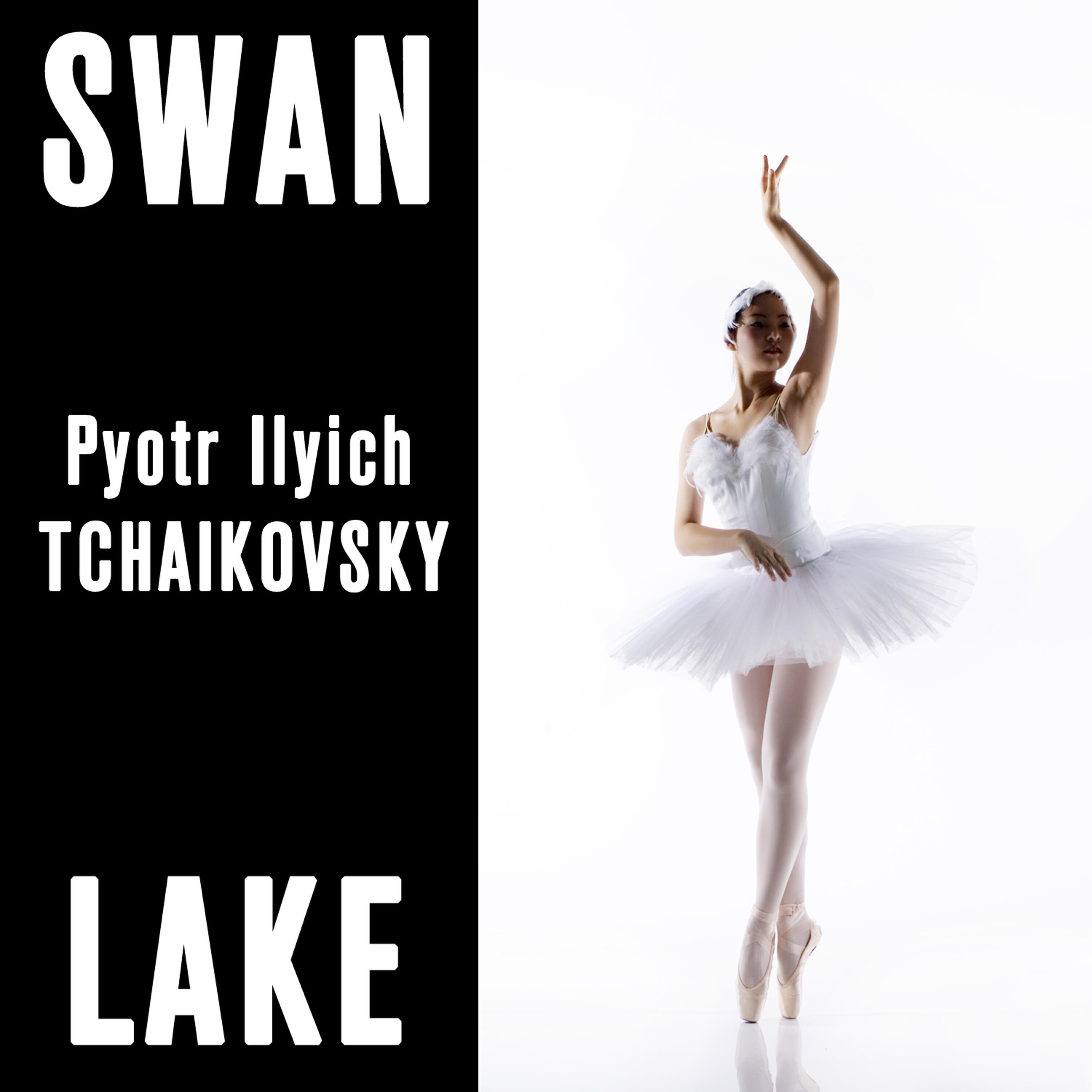 Релиз Swan Lake