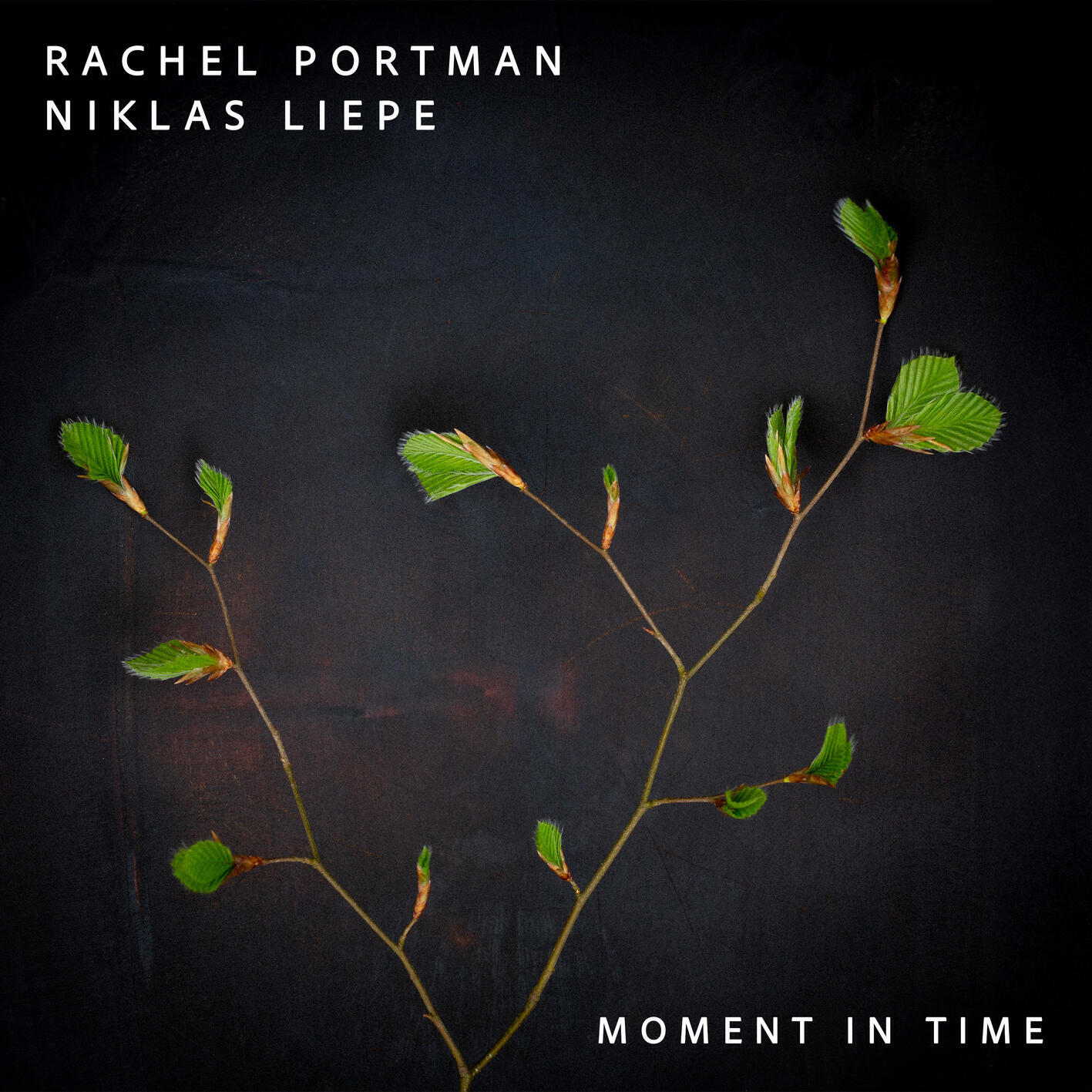 Релиз Moment in Time