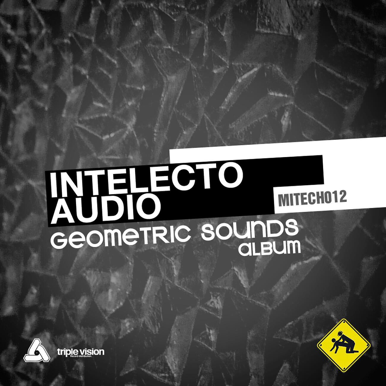 Intelecto Audio