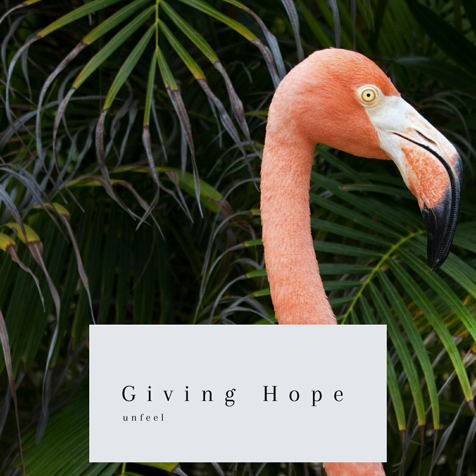Релиз Giving Hope