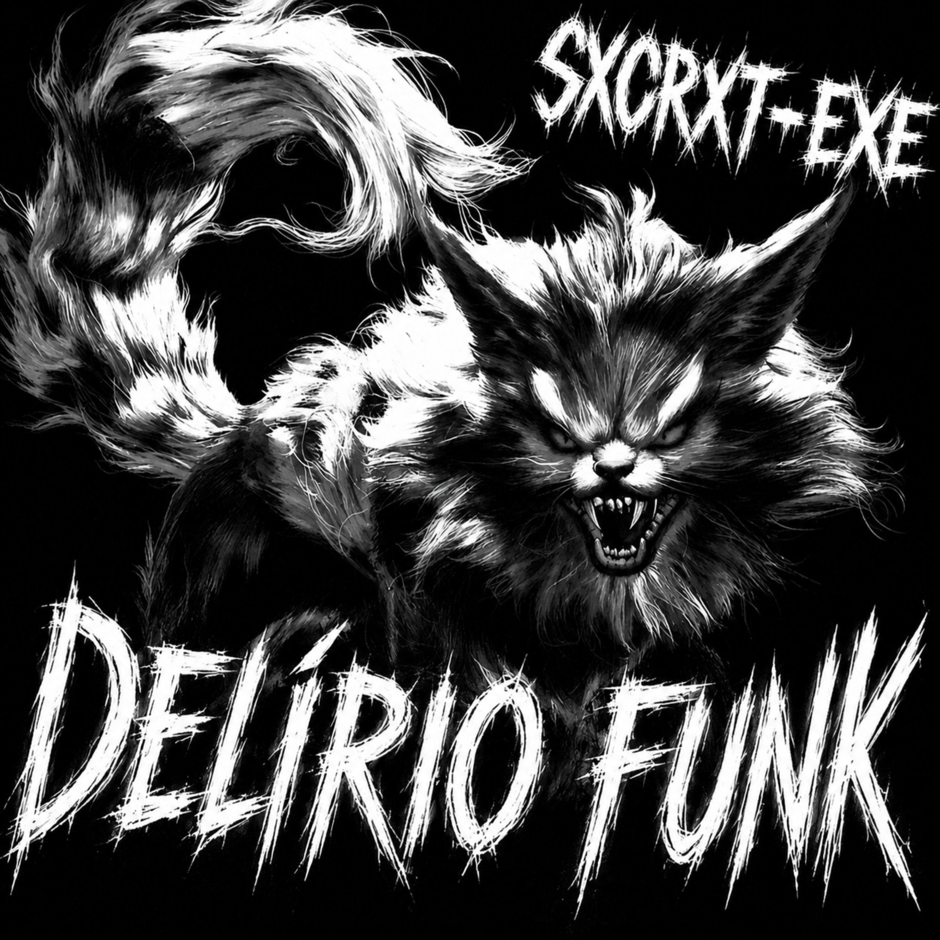 Релиз DELÍRIO FUNK