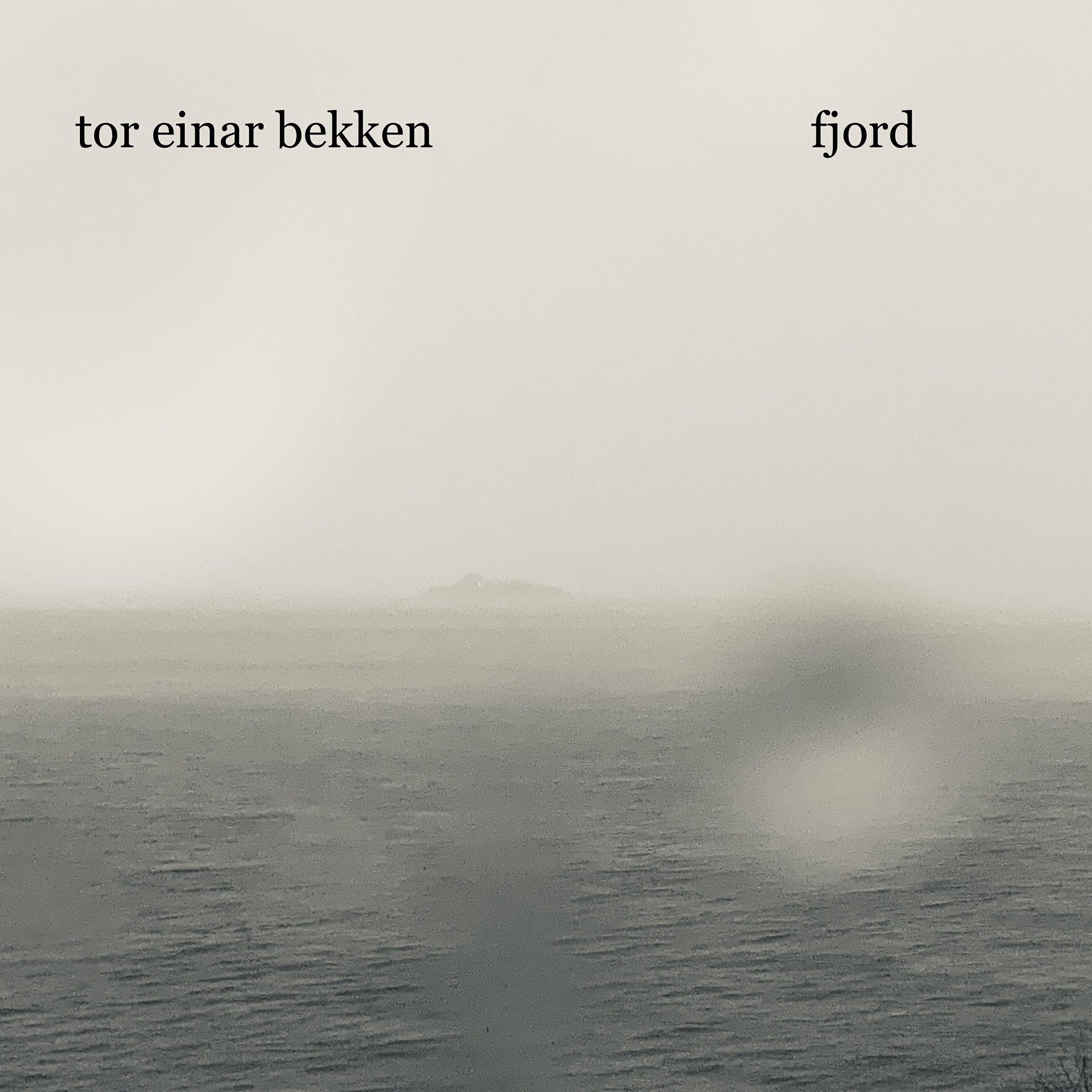 Релиз Fjord