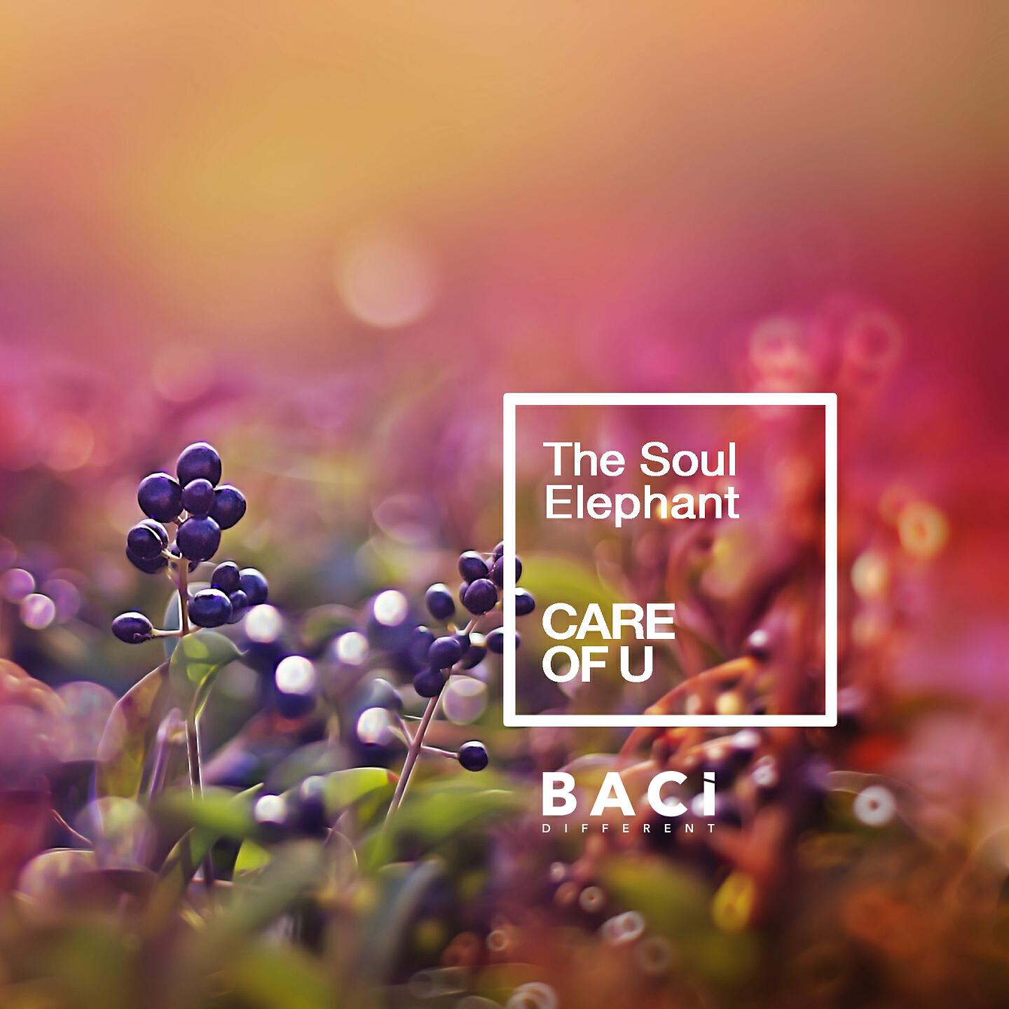 Релиз Care of U