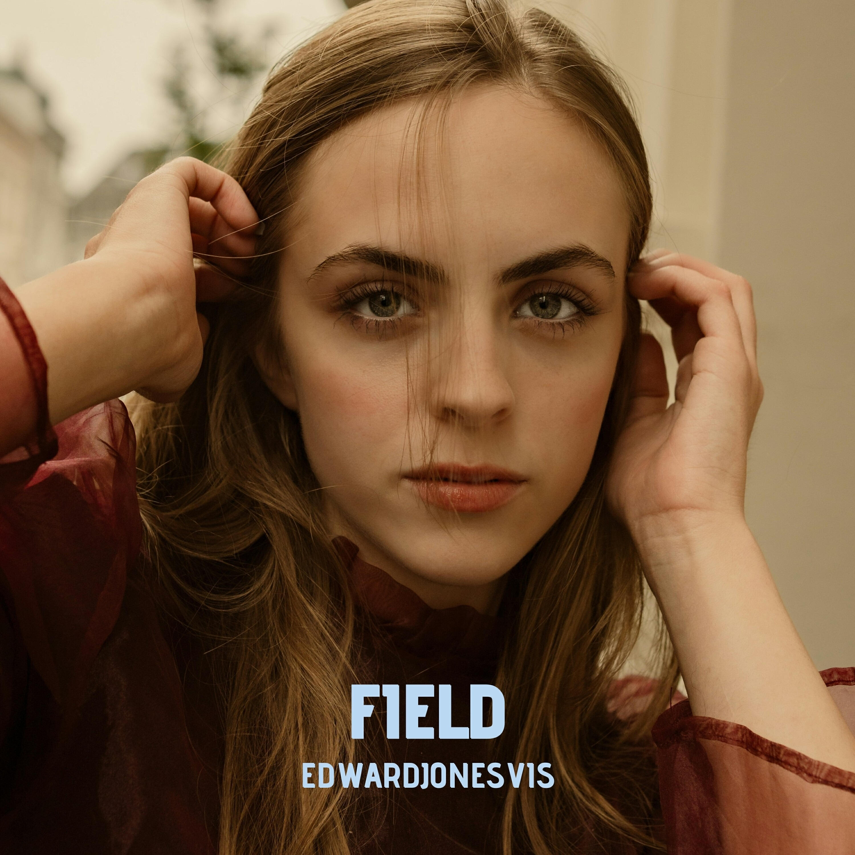 Edwardjonesvis