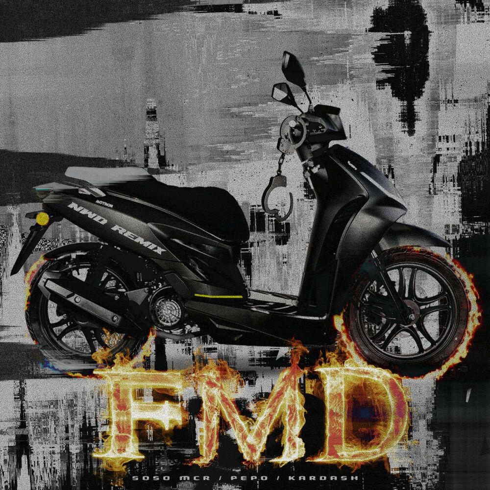 Релиз Fang Mich Doch (NWD Remix)