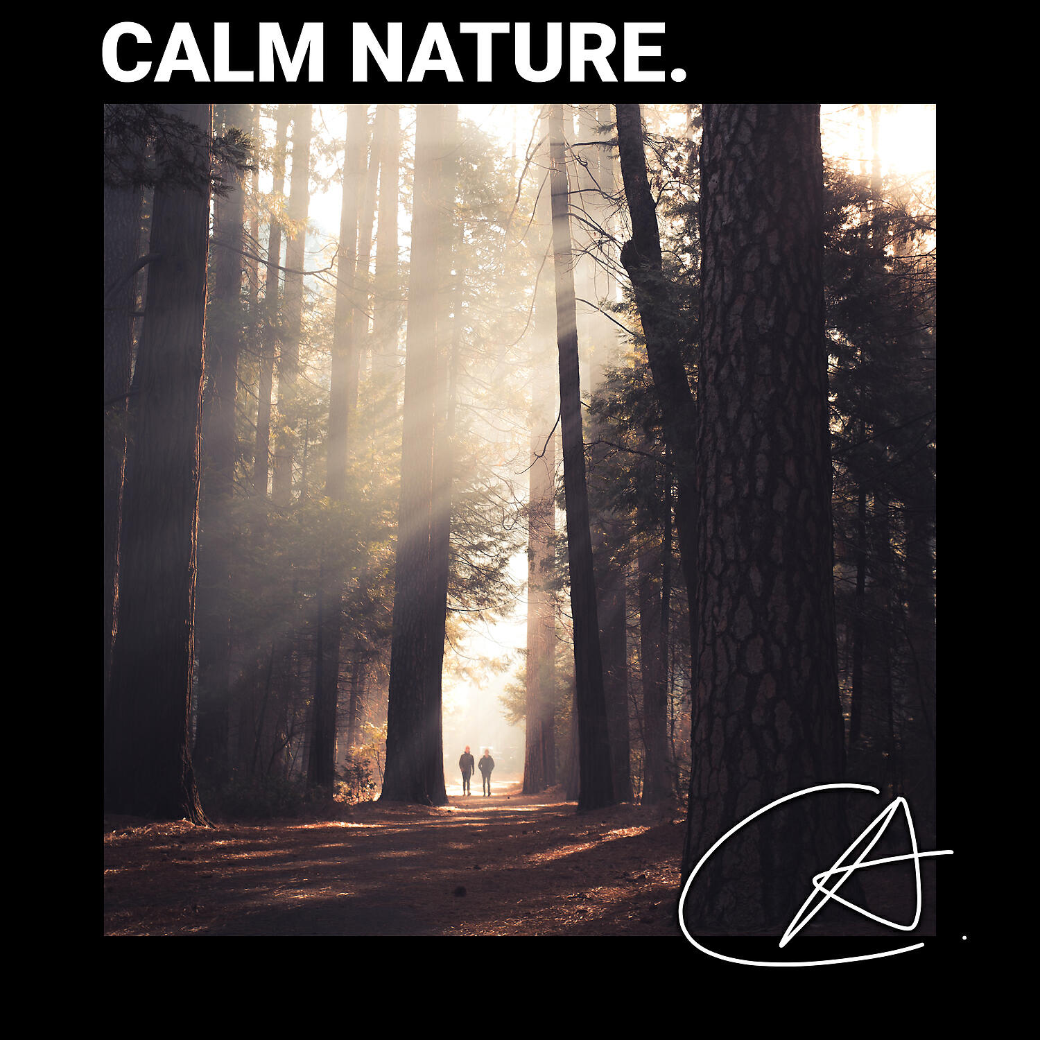 Релиз Outdoor Cricket Sounds
